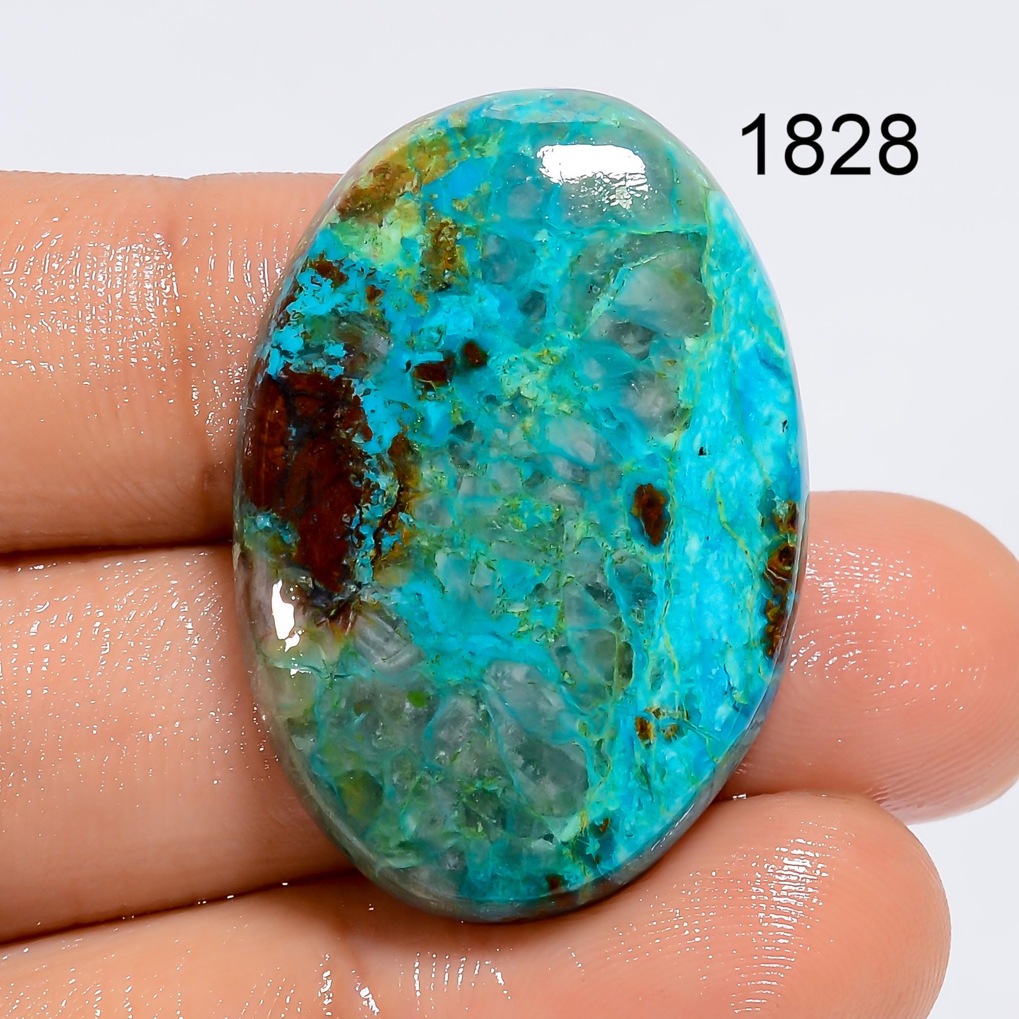 AAA Parrot Wing Chrysocolla Cabochon: Natural Gemstone Jewelry Making - image 6
