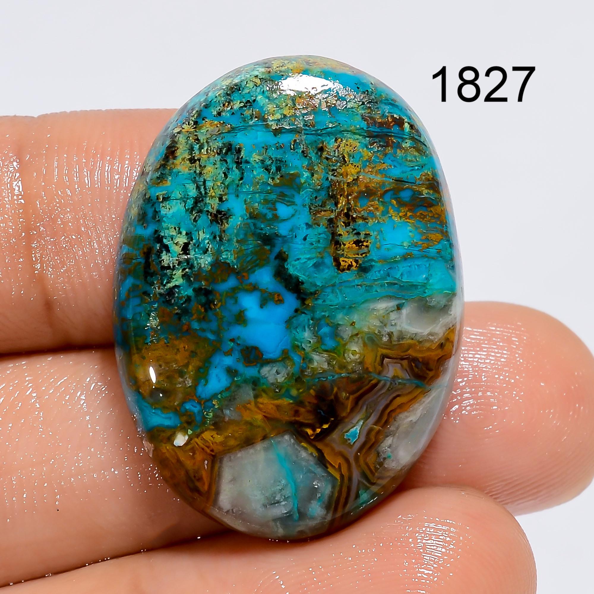 AAA Parrot Wing Chrysocolla Cabochon: Natural Gemstone Jewelry Making - image 5