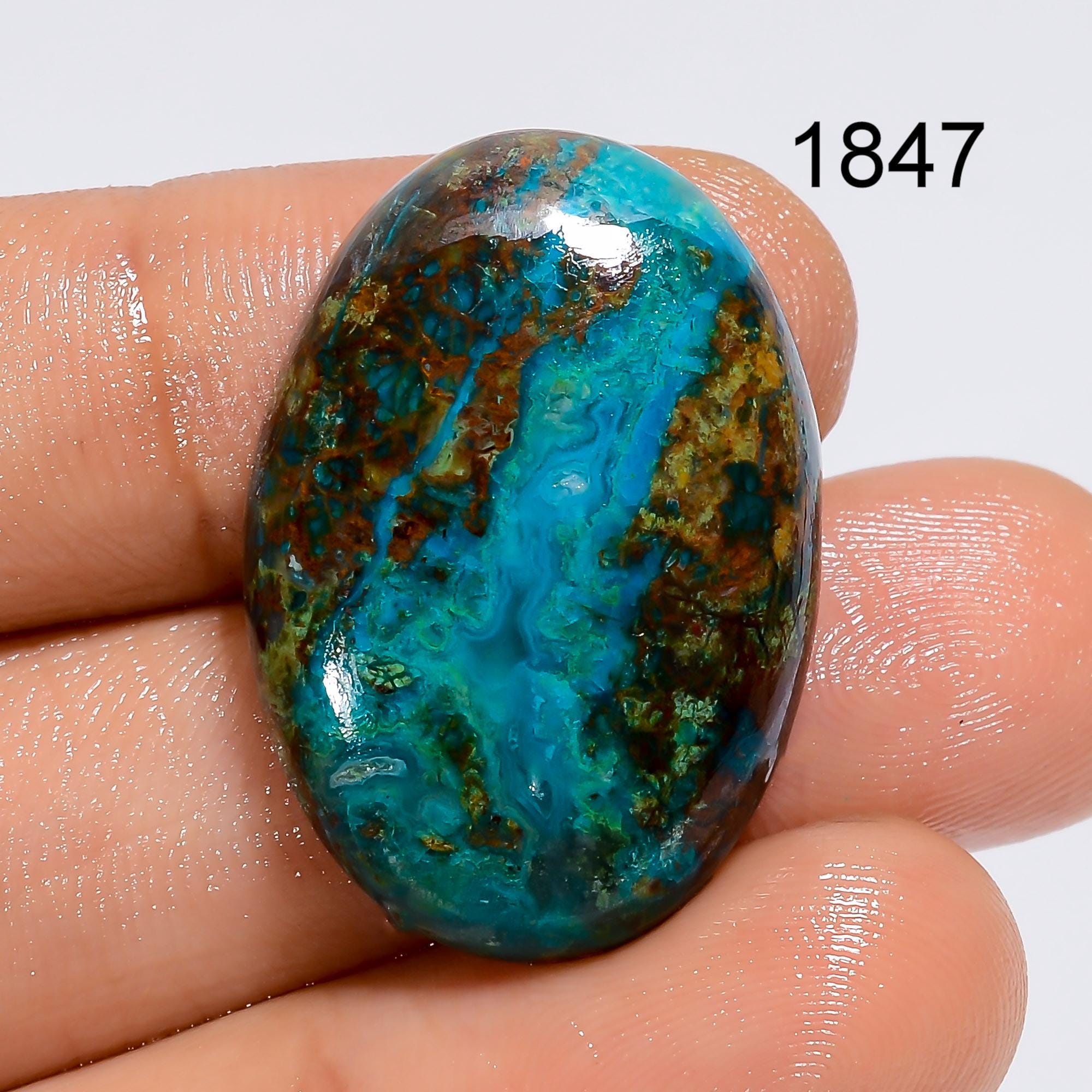 Natural Parrot Wing Chrysocolla Gemstone, Designer Parrot Wing Chrysocolla Cabochon, Loose Chrysocolla Gemstone Jewelry  - image 3