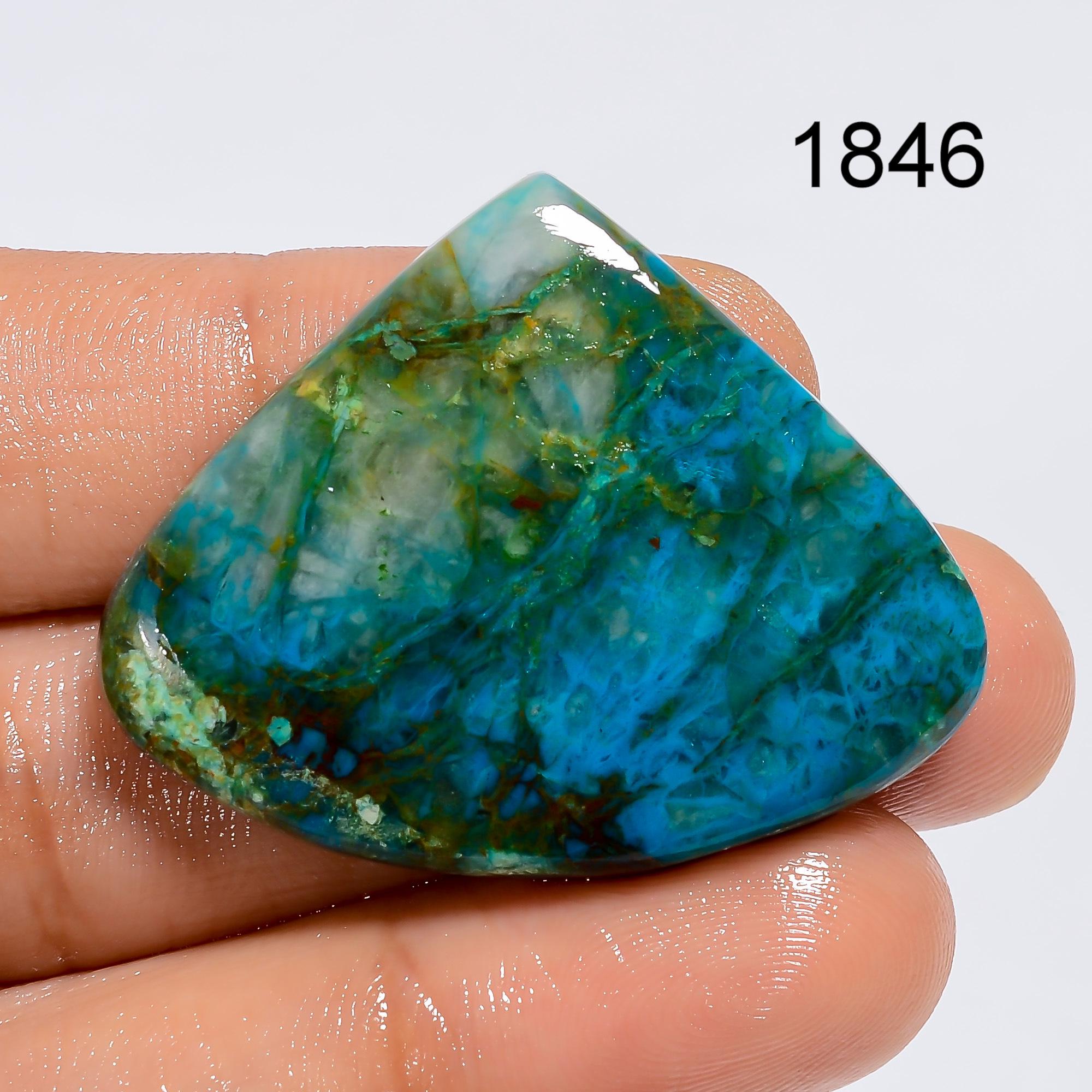 Natural Parrot Wing Chrysocolla Gemstone, Designer Parrot Wing Chrysocolla Cabochon, Loose Chrysocolla Gemstone Jewelry  - image 2