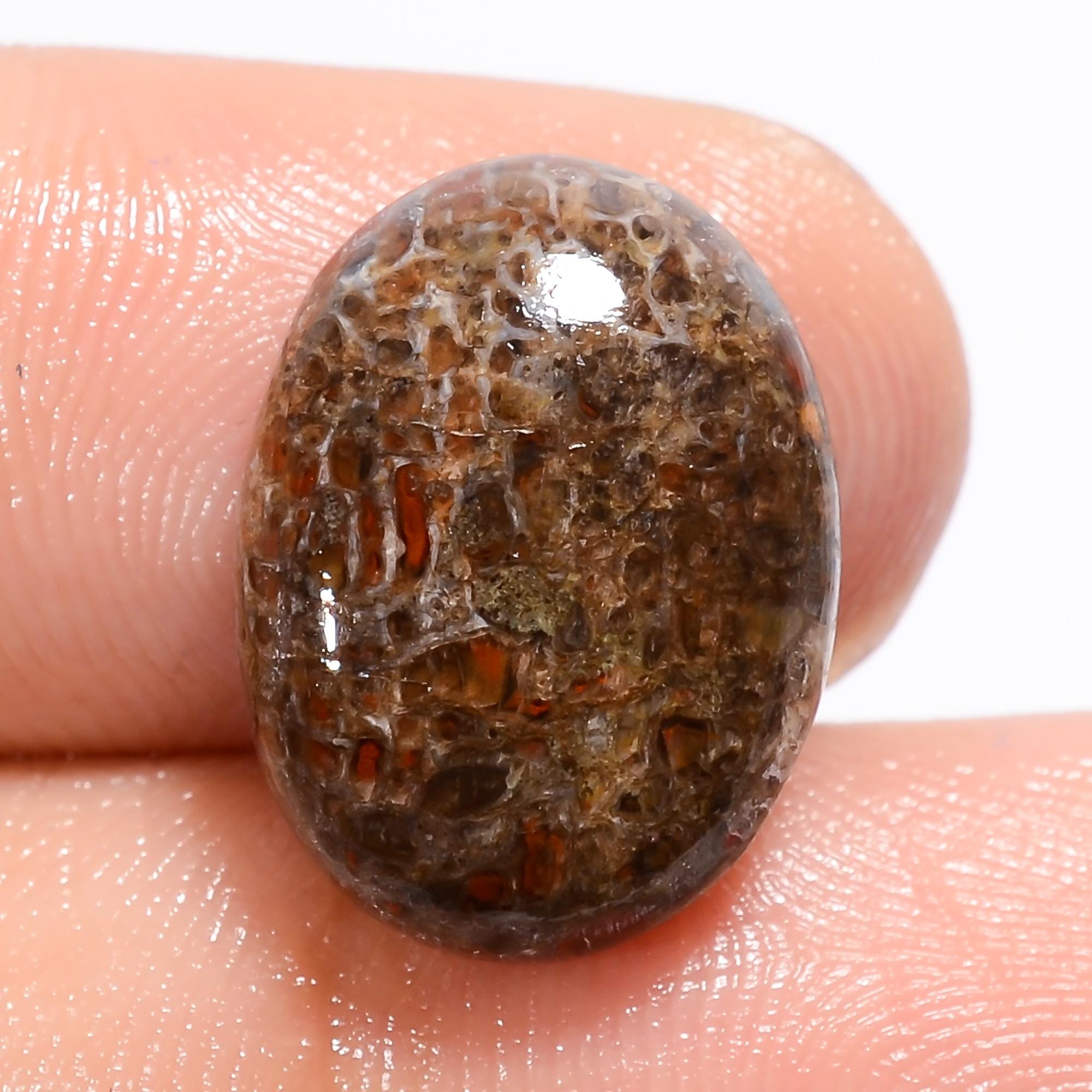 Natural Dinosaur Bone Cabochon, AAA Quality Loose Gemstone. - image 7