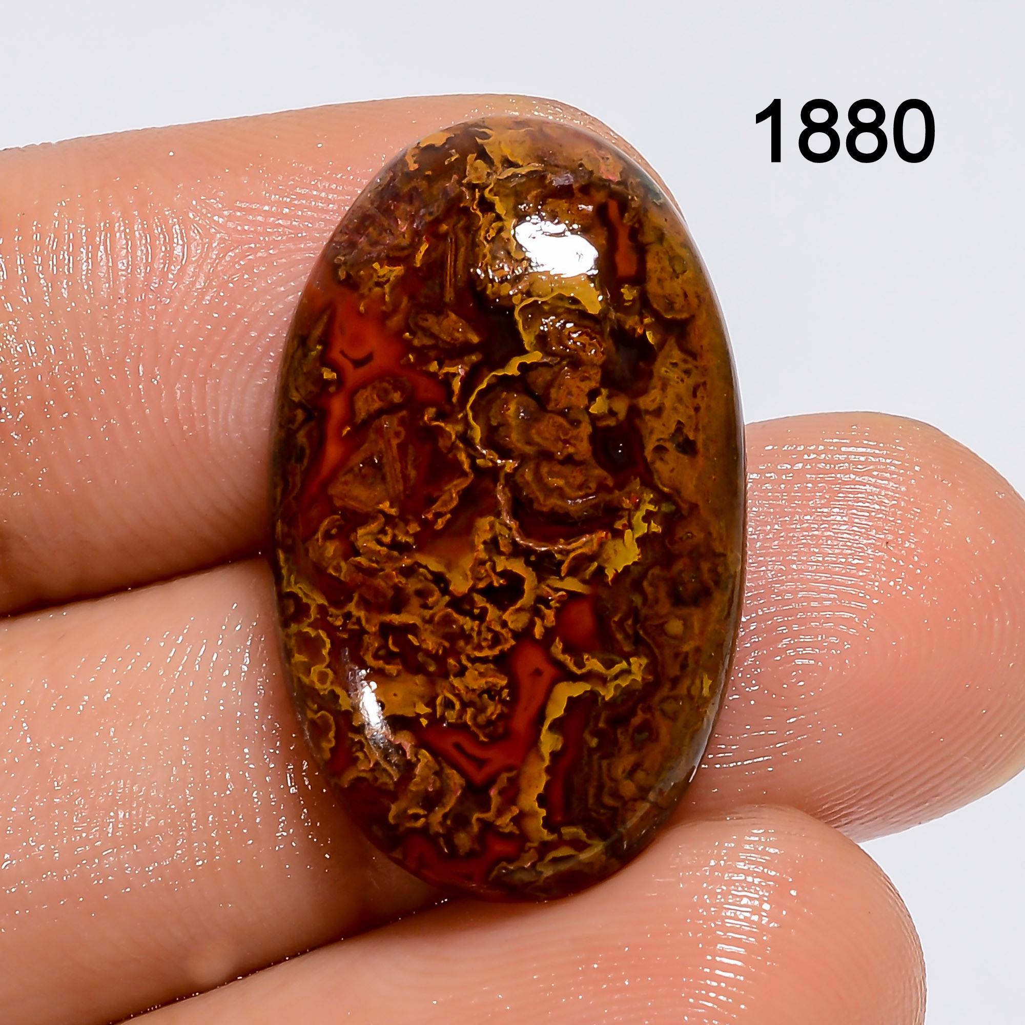 Natural Seam Agate Cabochon, AAA Quality Loose Gemstone - image 2