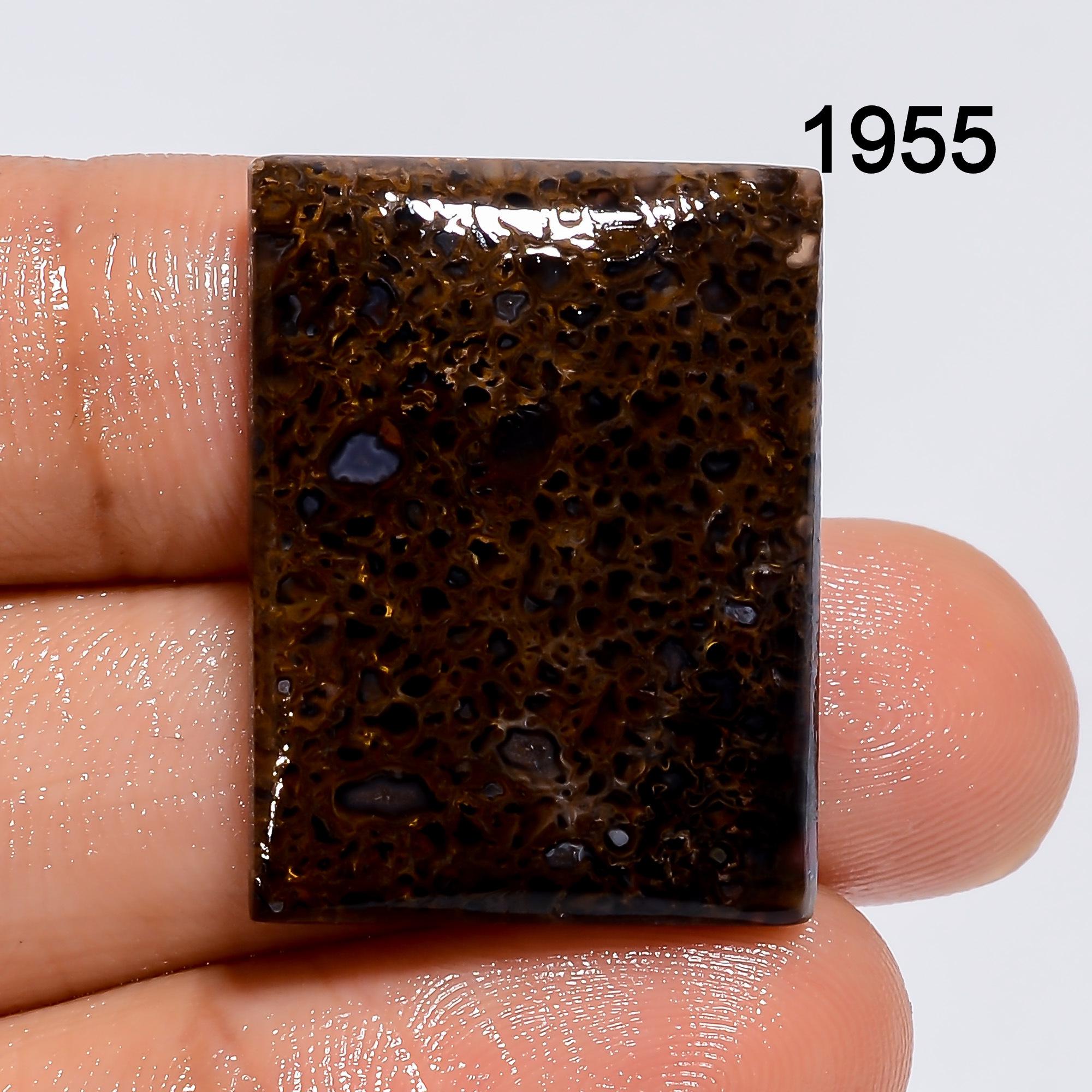 Natural Dinosaur Bone Cabochon, AAA Quality Loose Gemstone. - image 2