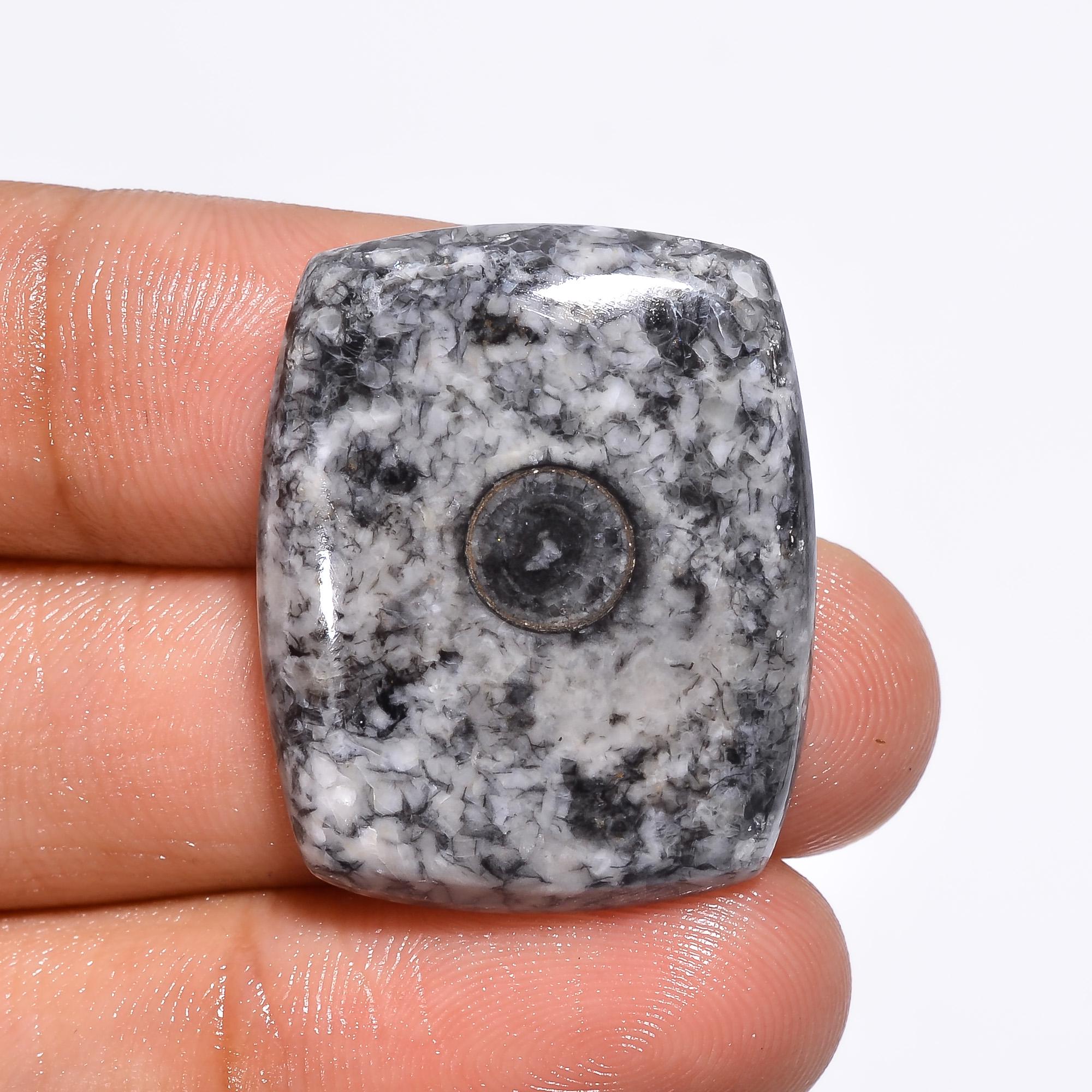 Horn Black Coral Gemstone, Loose Black Coral Cabochon, AAA Quality Natural Horn Black Coral Gemstone For Jewelry Making 