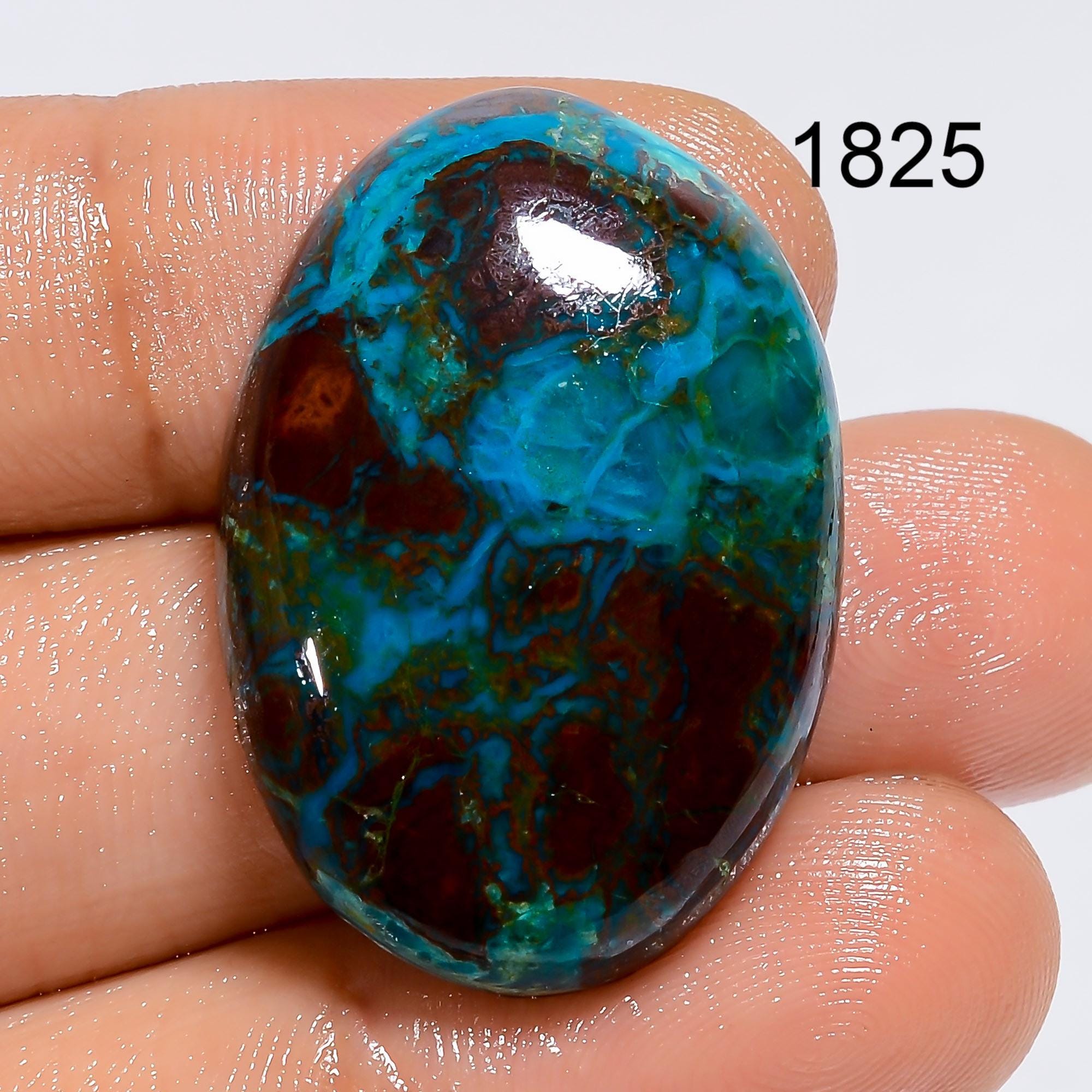 AAA Parrot Wing Chrysocolla Cabochon: Natural Gemstone Jewelry Making - image 3