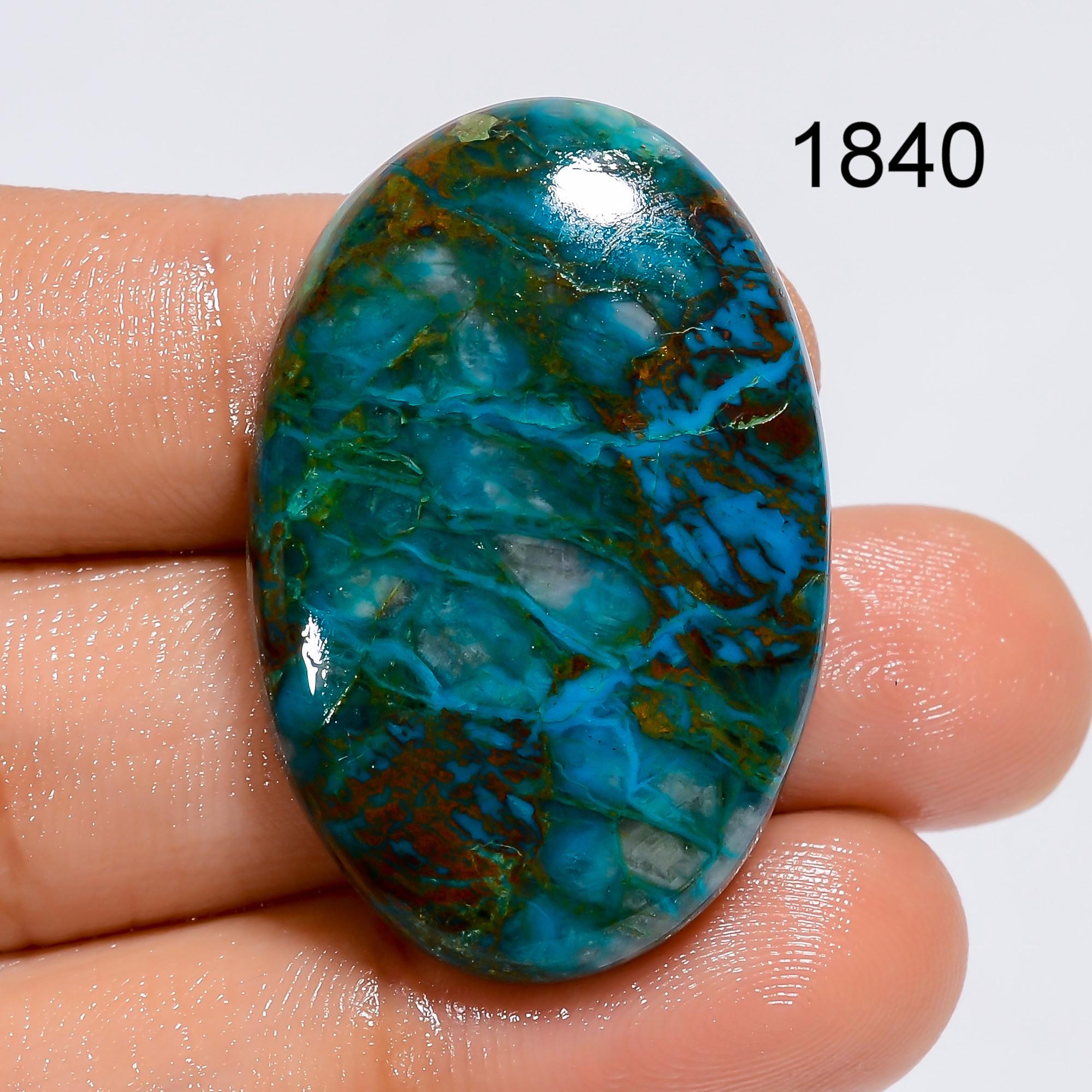 AAA Parrot Wing Chrysocolla Cabochon, Congo Gemstone