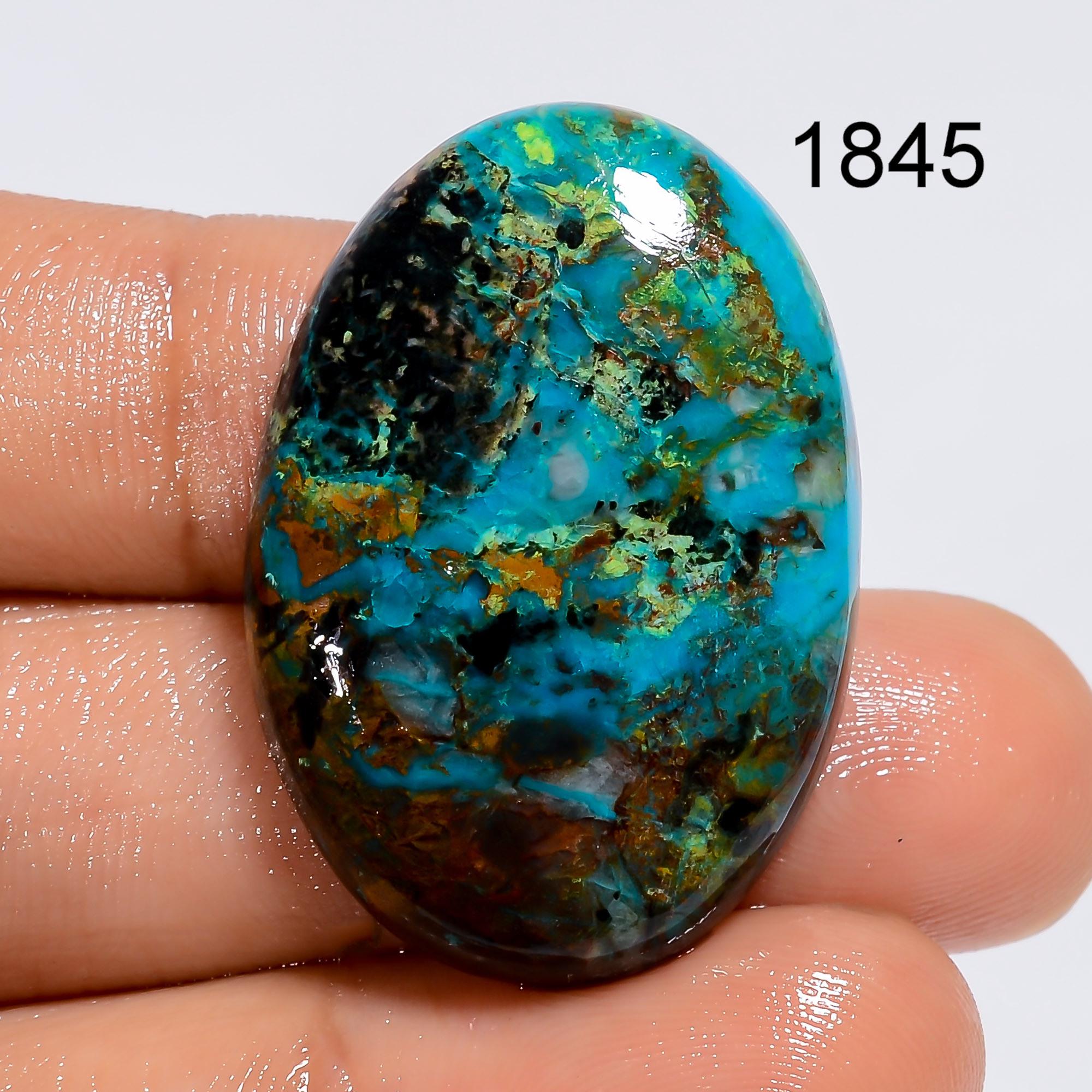 Natural Parrot Wing Chrysocolla Gemstone, Designer Parrot Wing Chrysocolla Cabochon, Loose Chrysocolla Gemstone Jewelry 