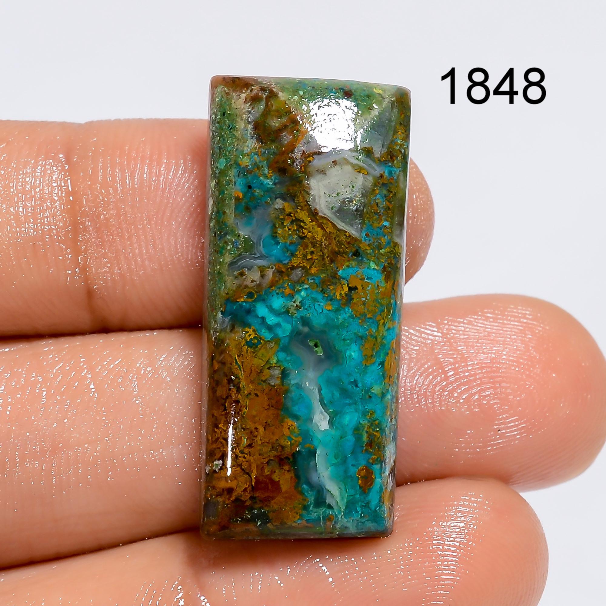 Natural Parrot Wing Chrysocolla Gemstone, Designer Parrot Wing Chrysocolla Cabochon, Loose Chrysocolla Gemstone Jewelry  - image 4