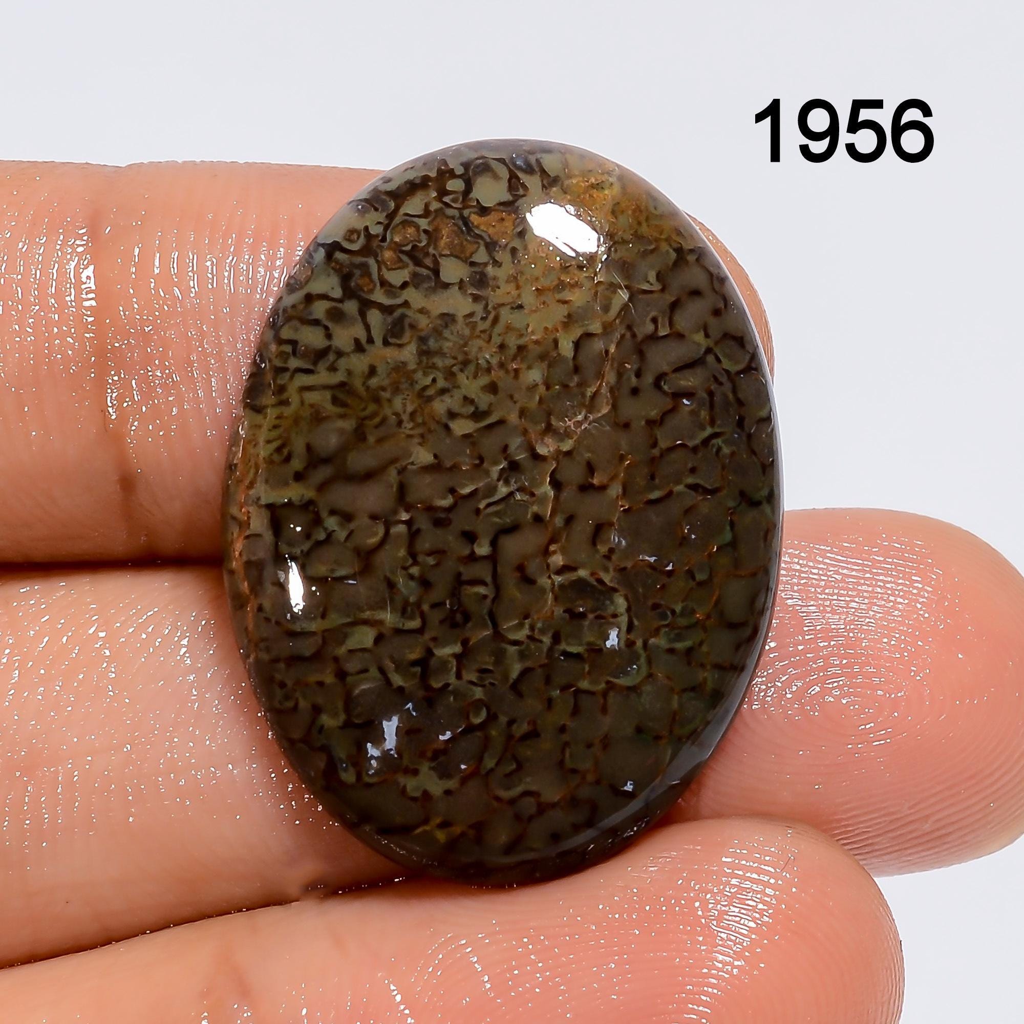 Natural Dinosaur Bone Cabochon, AAA Quality Loose Gemstone.