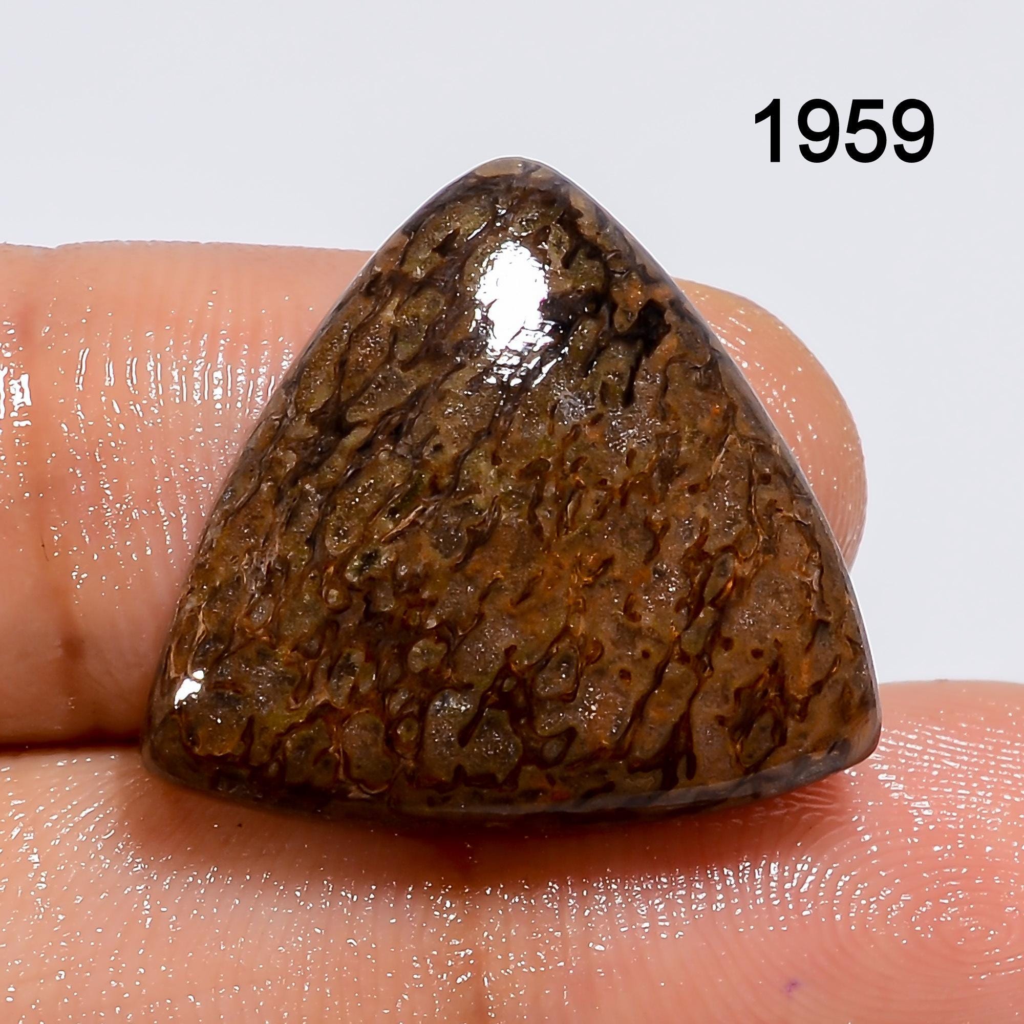 Natural Dinosaur Bone Cabochon, AAA Quality Loose Gemstone. - image 3