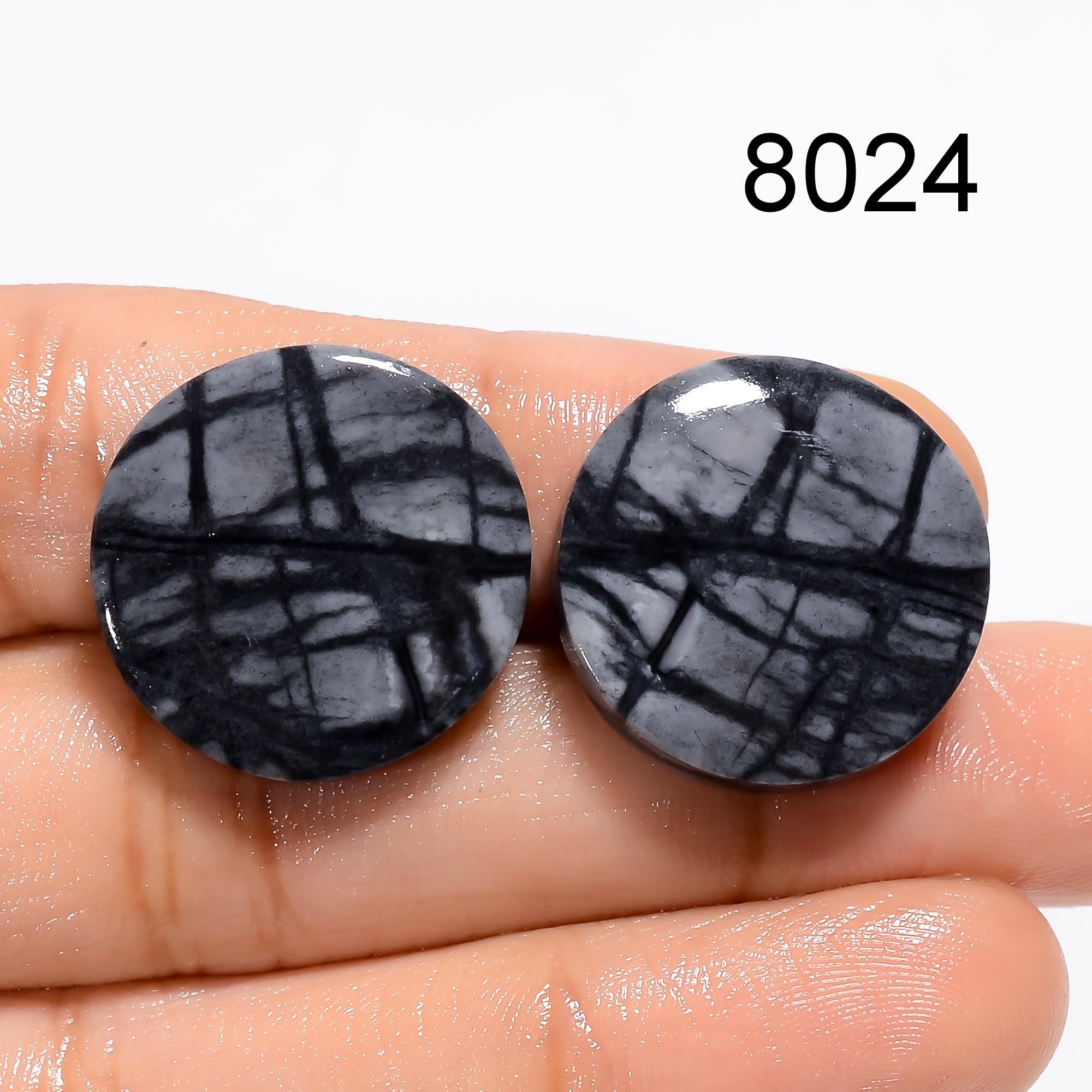 Picasso Jasper Cabochon Pair | Polished Gemstone for Earrings