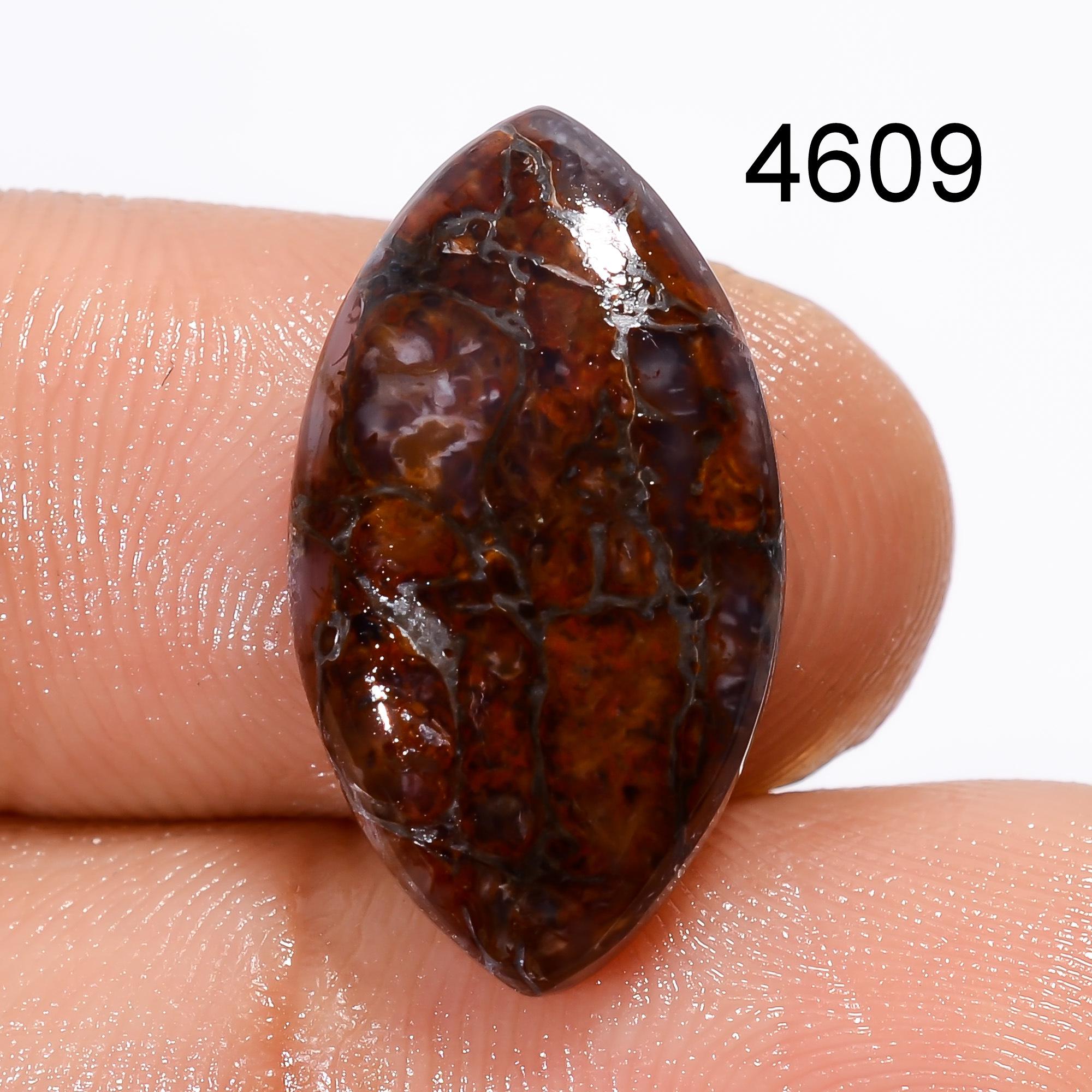 Natural Dinosaur Bone Cabochon, AAA Quality Loose Gemstone. - image 4