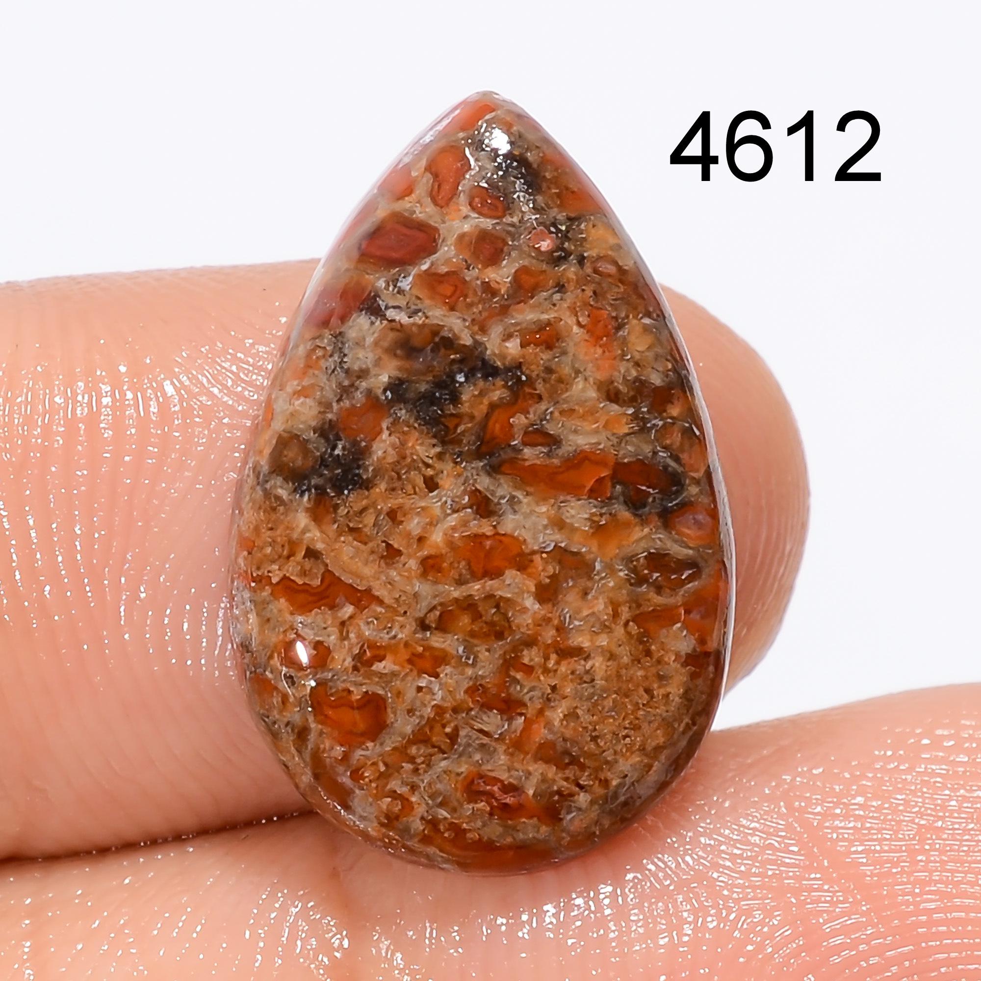 Natural Dinosaur Bone Cabochon, AAA Quality Loose Gemstone. - image 5