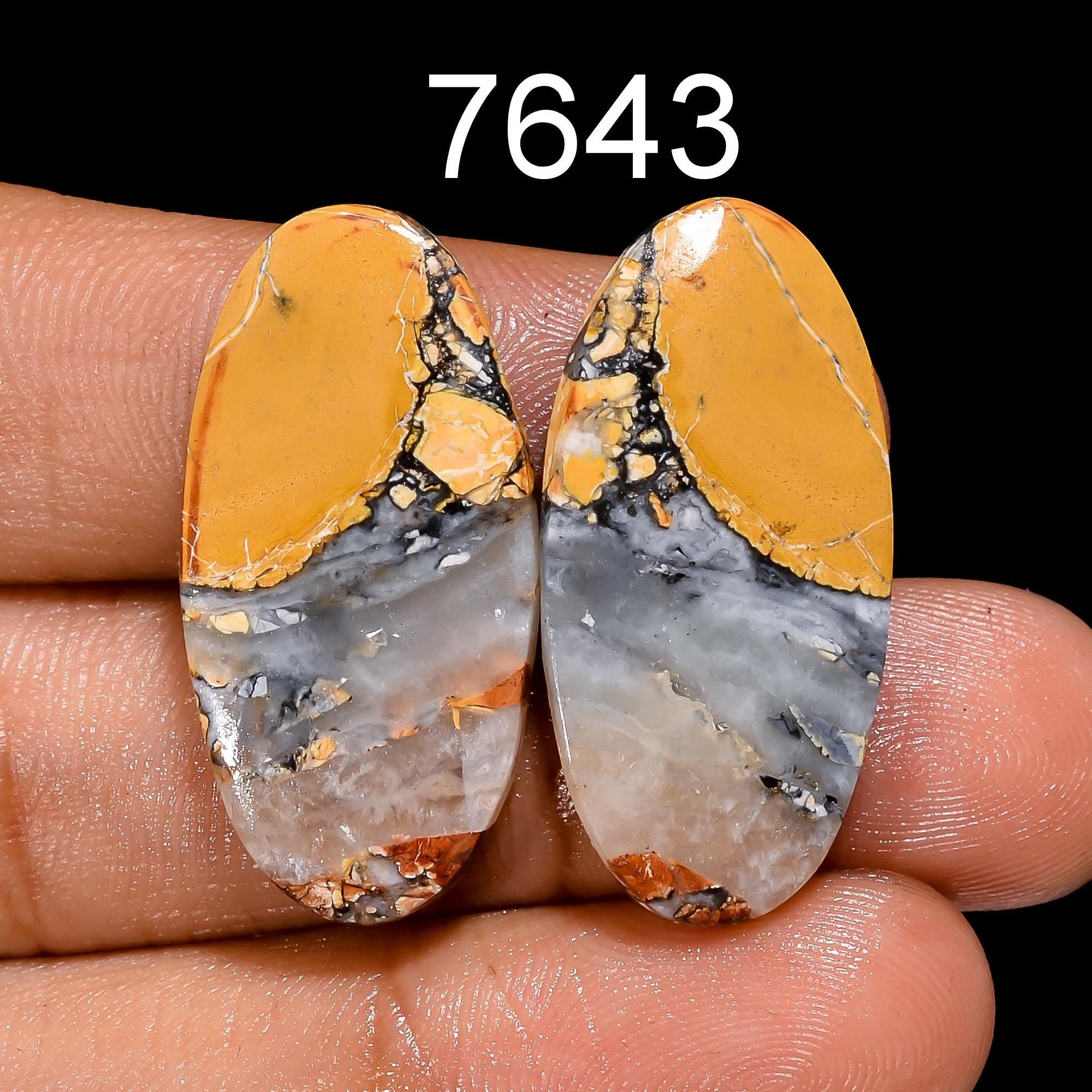 Natural Maligano Jasper Pair Cabochons, Designer Earring Gemstones