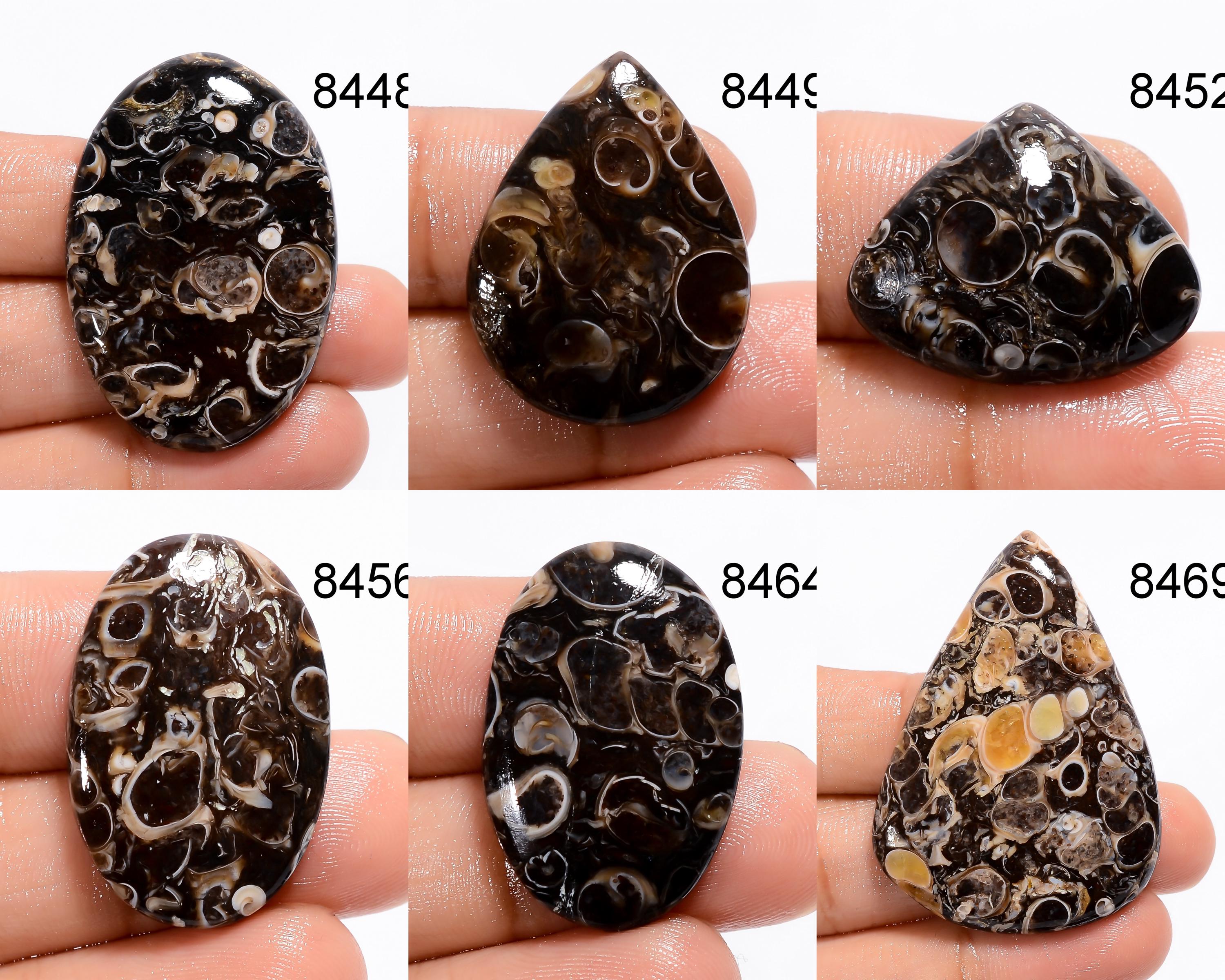 AAA Turritella Agate Cabochon: Natural Healing Gemstone - image 2
