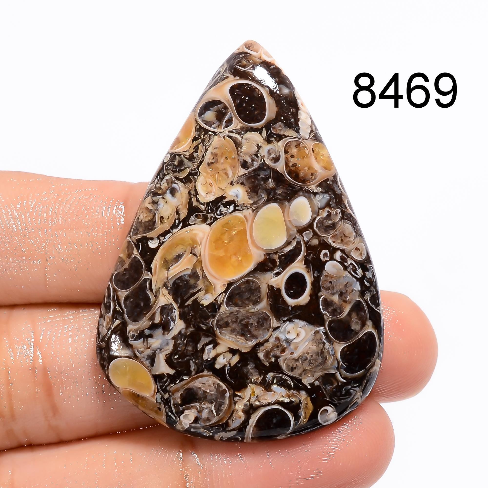 AAA Turritella Agate Cabochon: Natural Healing Gemstone - image 7