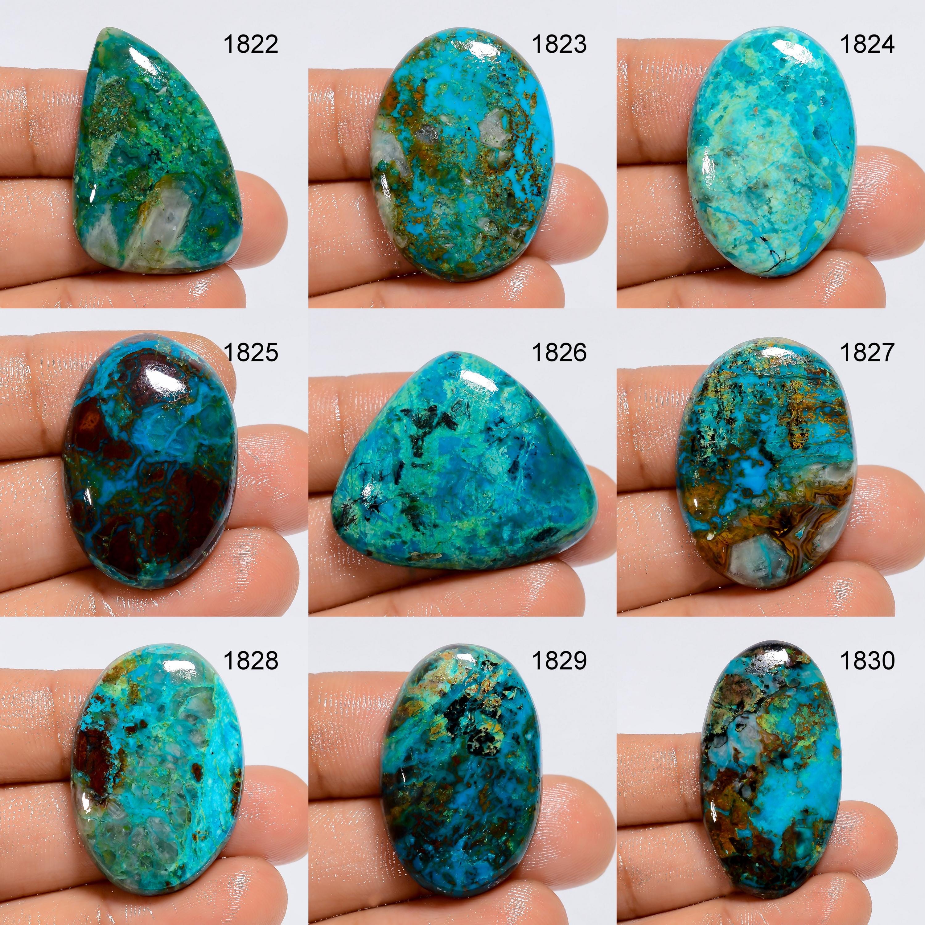AAA Parrot Wing Chrysocolla Cabochon: Natural Gemstone Jewelry Making - image 9