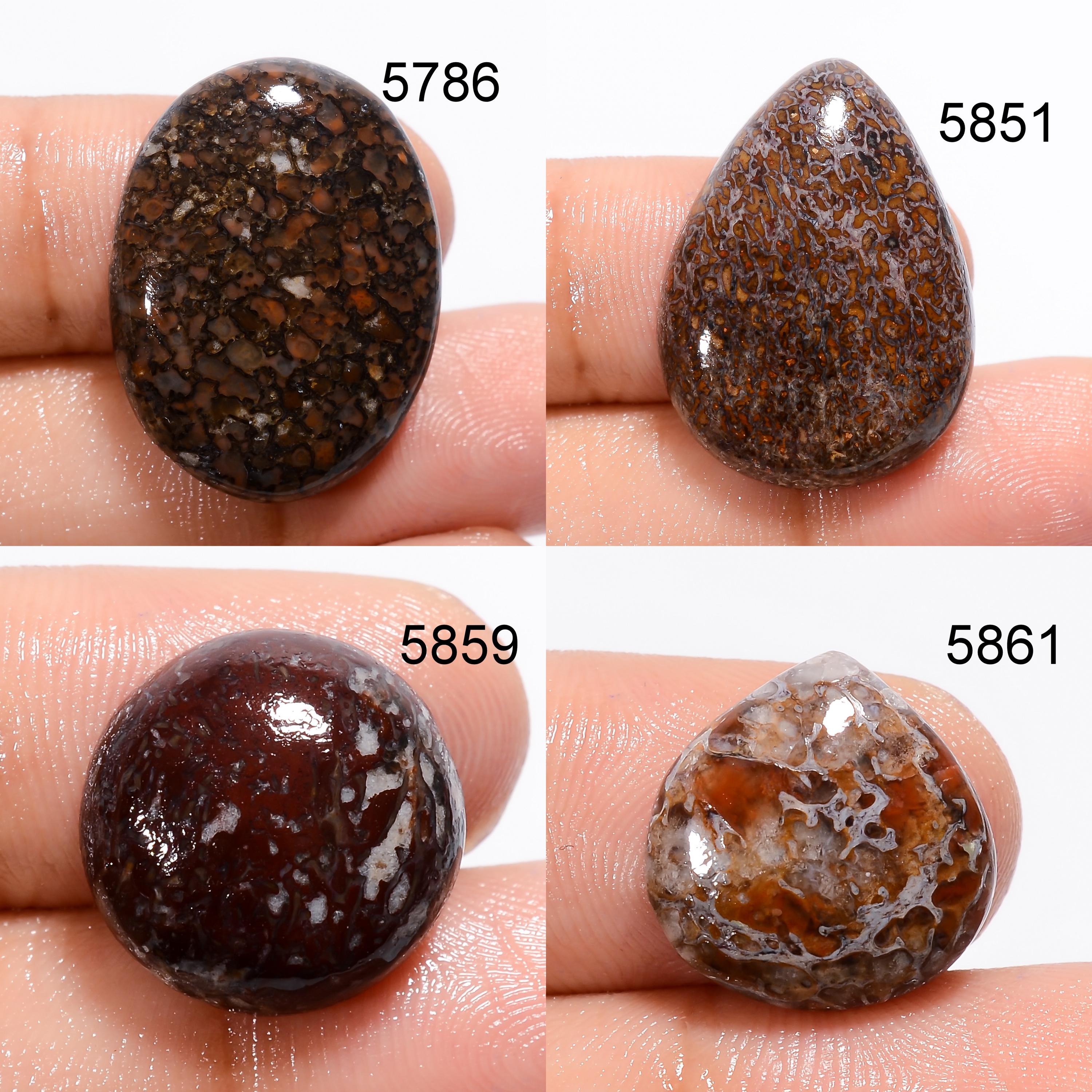 Natural Dinosaur Bone Cabochon, AAA Quality Loose Gemstone. - image 6