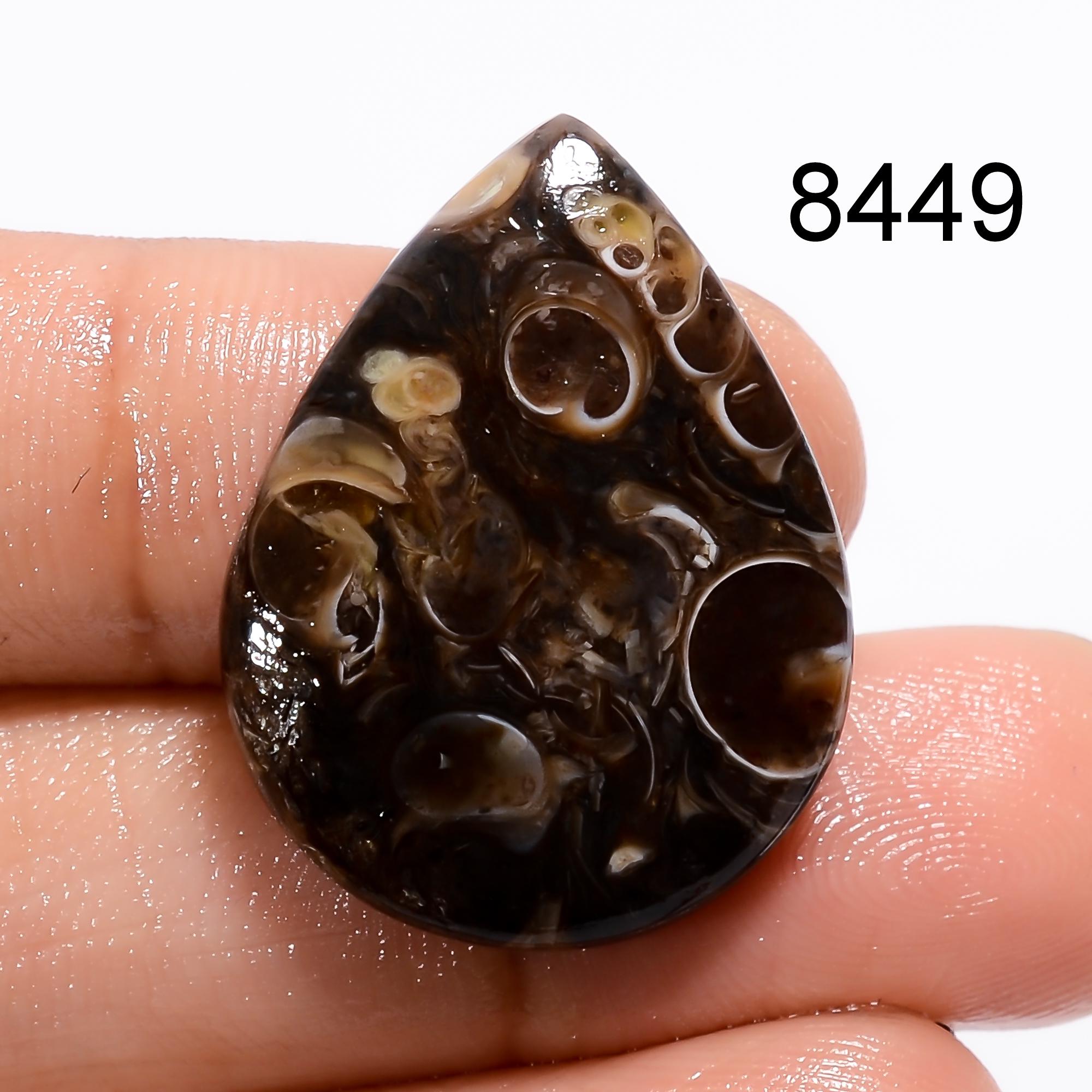 AAA Turritella Agate Cabochon: Natural Healing Gemstone - image 3