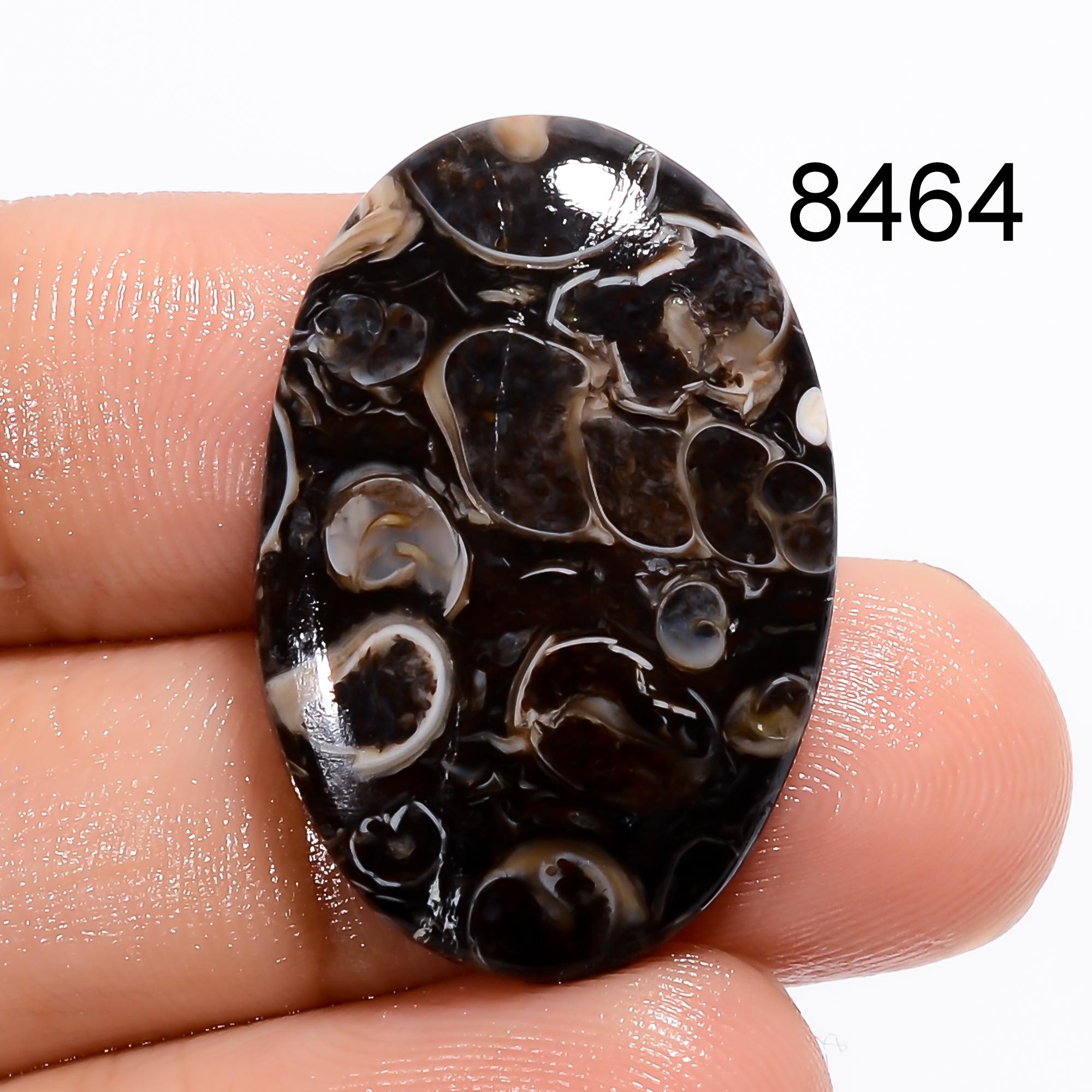 AAA Turritella Agate Cabochon: Natural Healing Gemstone - image 6