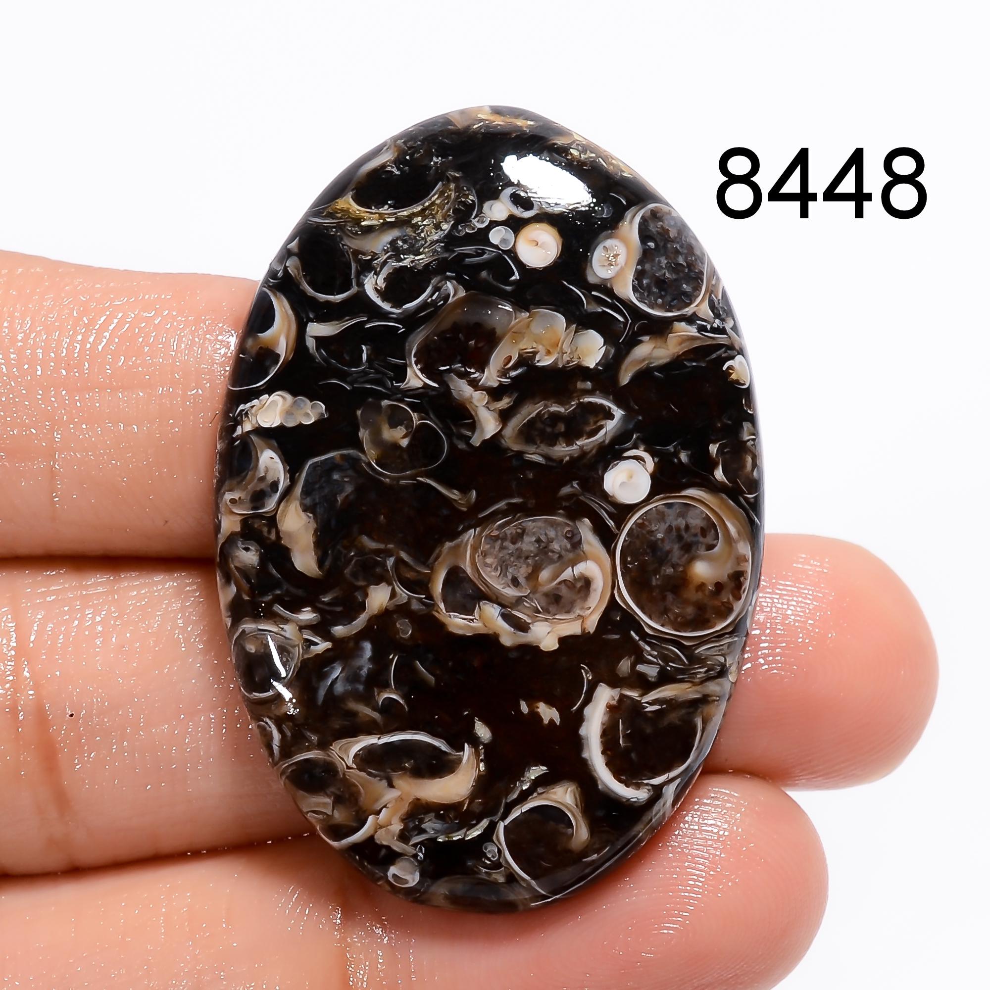 AAA Turritella Agate Cabochon: Natural Healing Gemstone