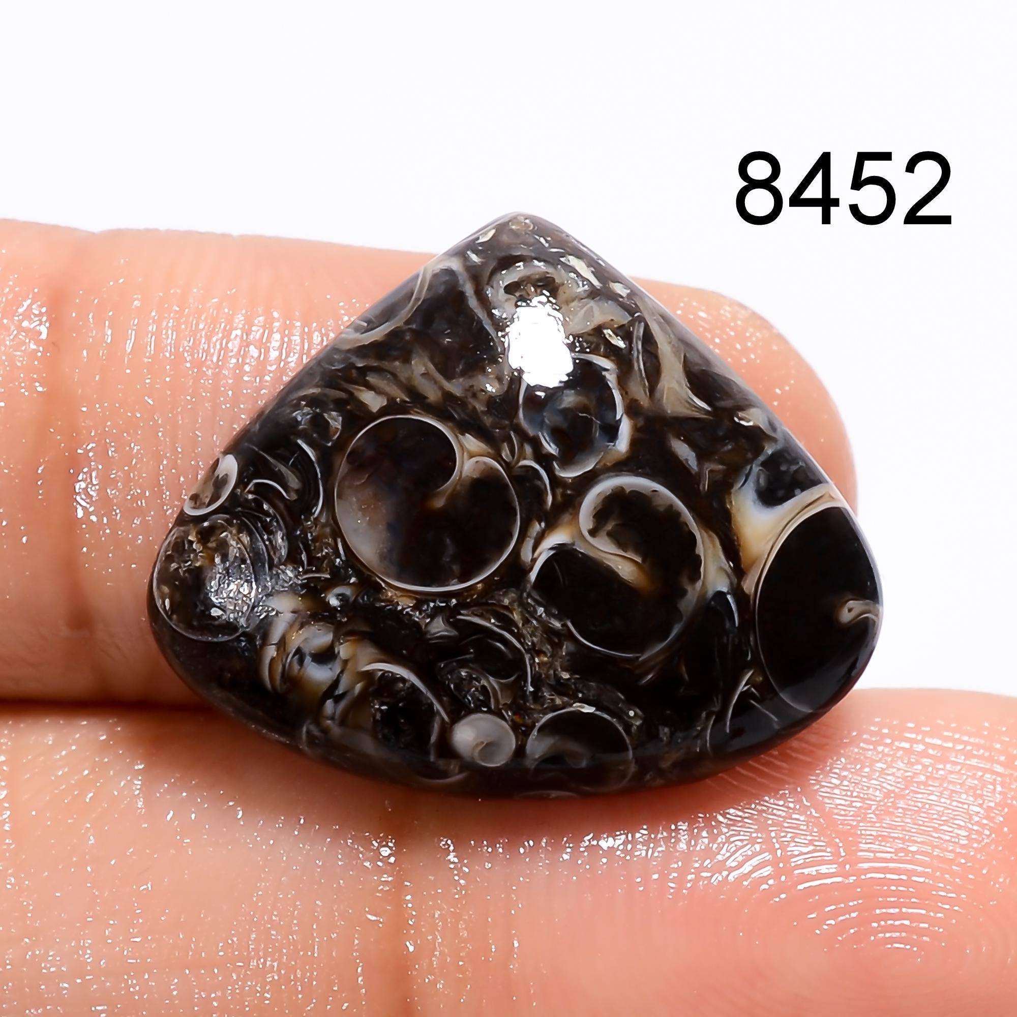AAA Turritella Agate Cabochon: Natural Healing Gemstone - image 4