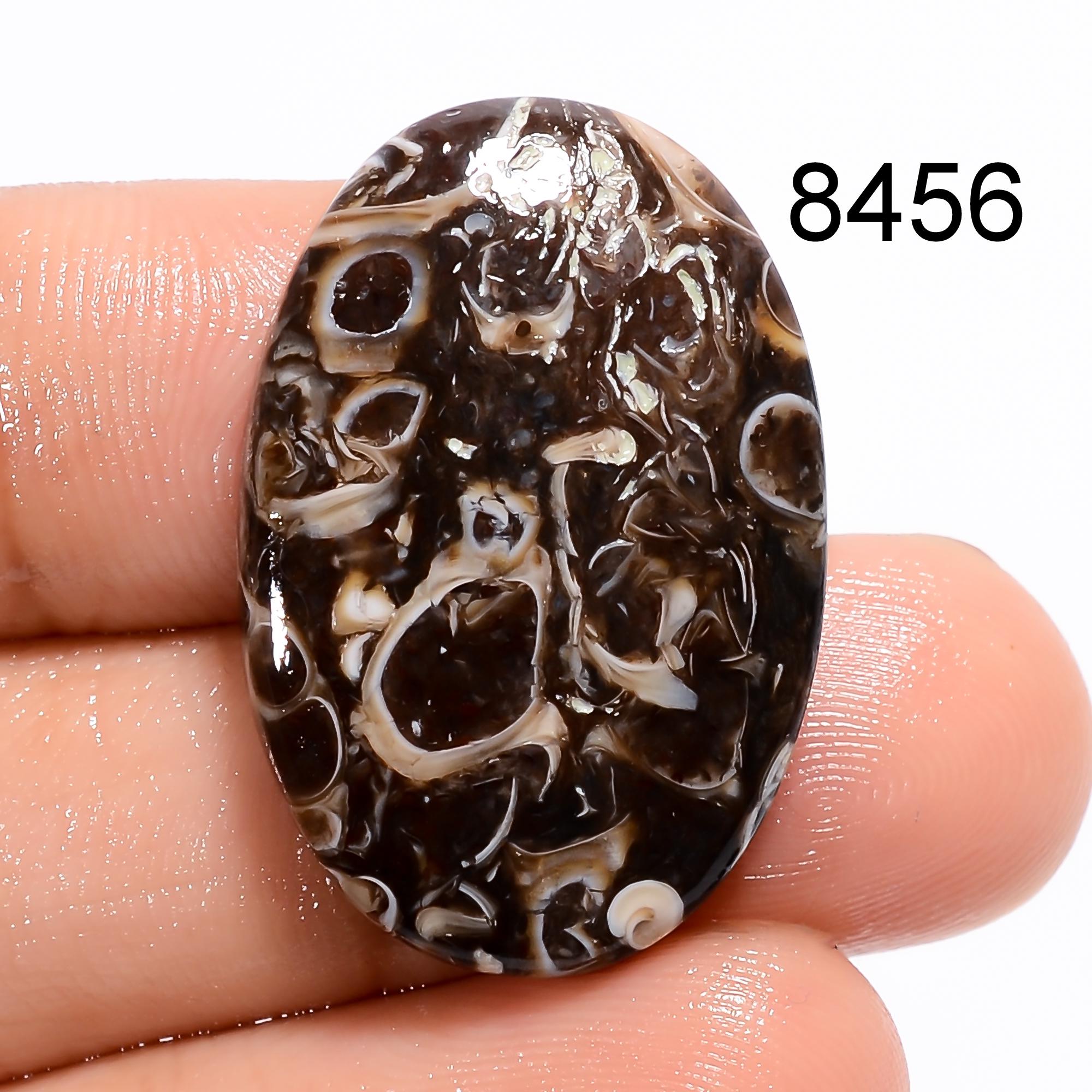 AAA Turritella Agate Cabochon: Natural Healing Gemstone - image 5