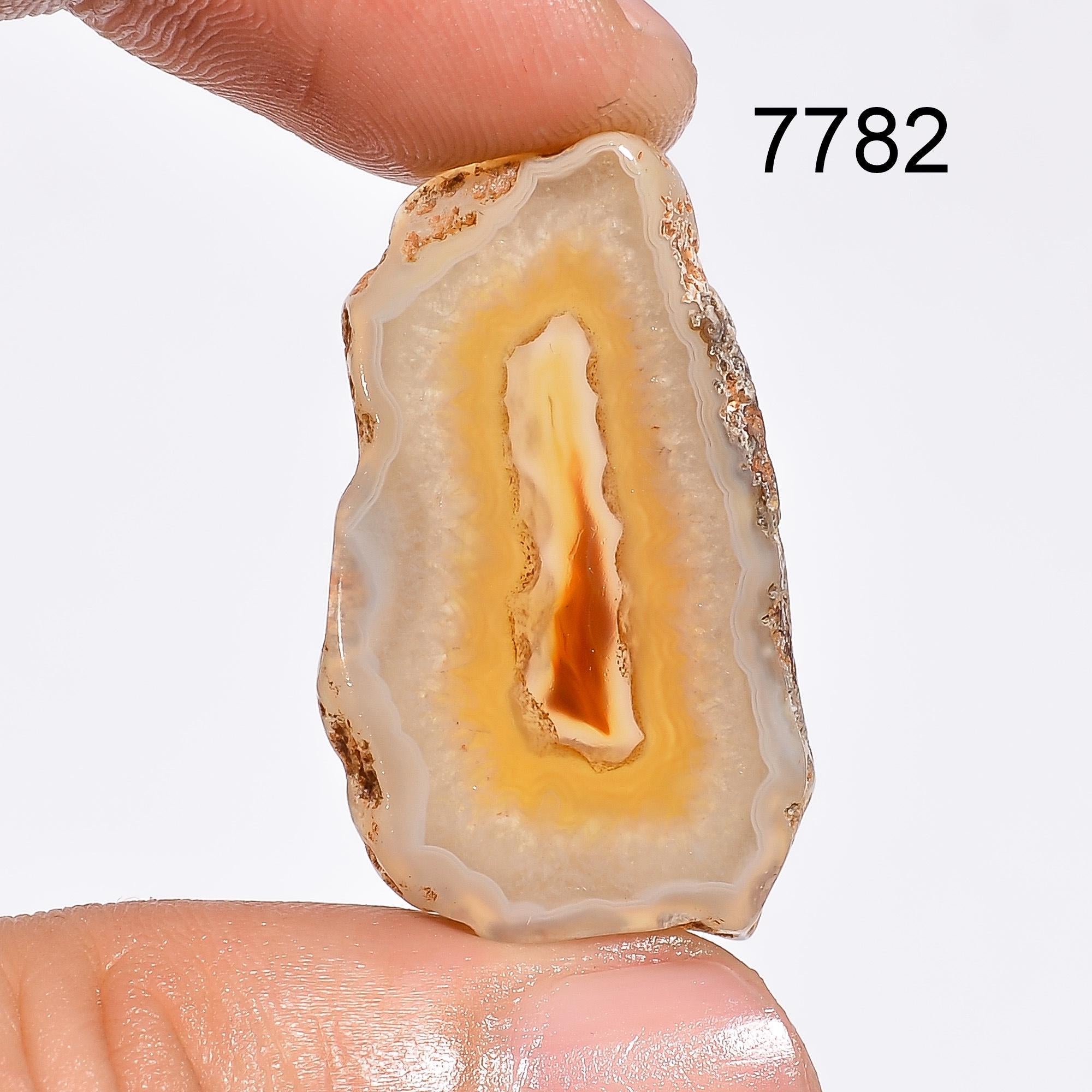 Orange Botswana Agate Slice Cabochon, AAA Gemstone for Jewelry - image 2