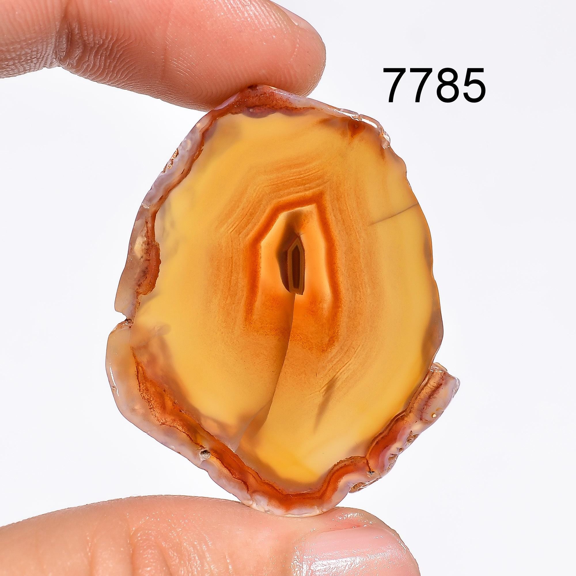 Orange Botswana Agate Slice Cabochon, AAA Gemstone for Jewelry - image 4