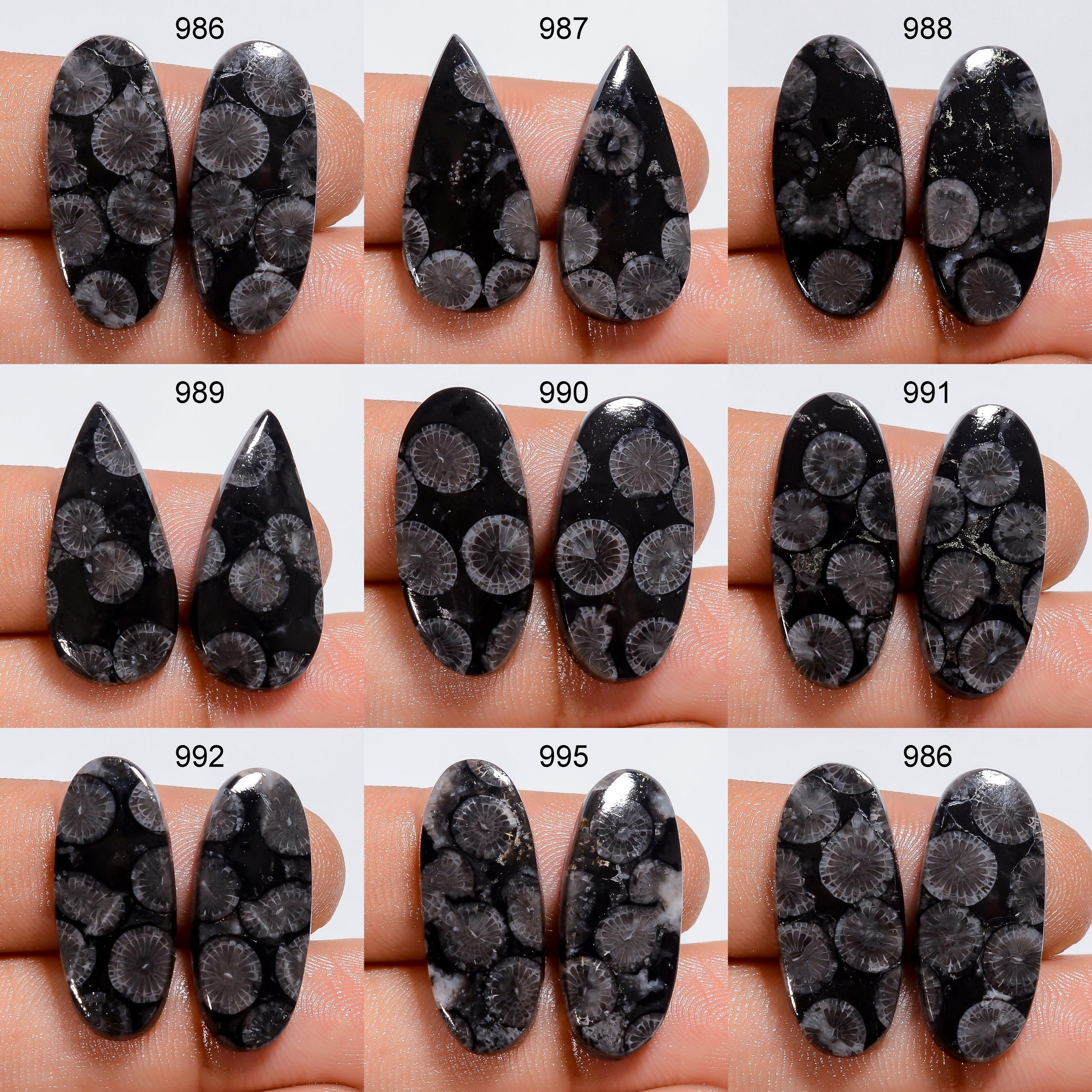 Black Fossil Coral Gemstone Pair, Mix Shape, Earring Jewelry Making Supply - image 5