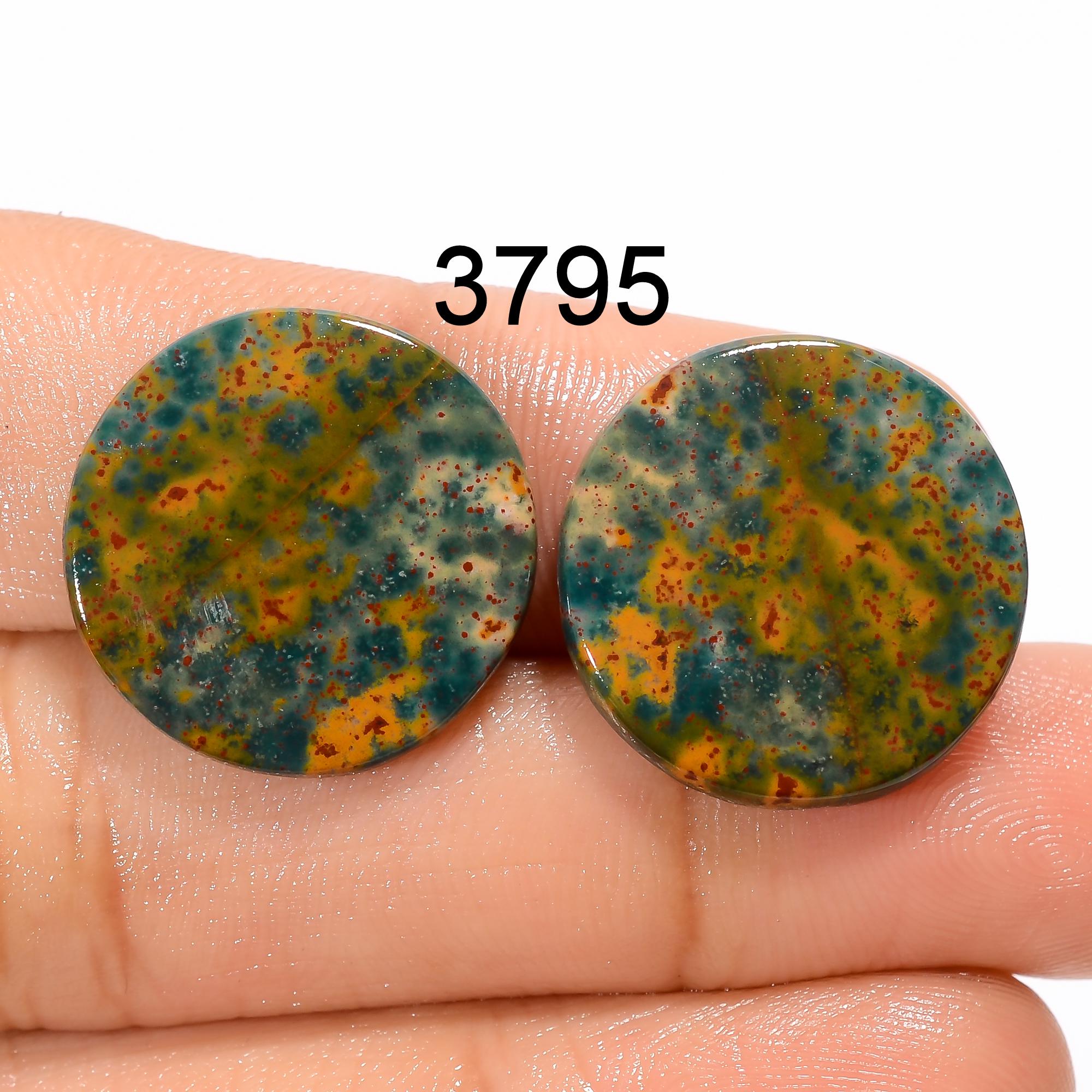 AAA Bloodstone Gemstone Pair, Mix Shape Cabochons, Loose Stone - image 9