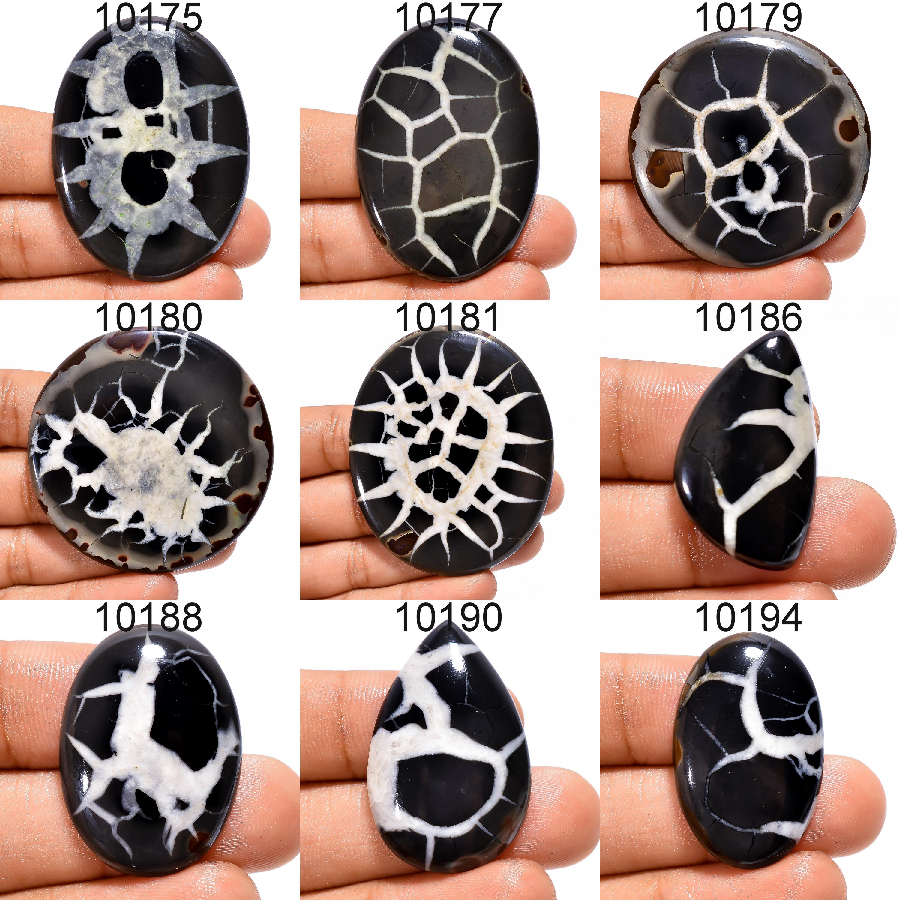 Natural Mud Crack Fossil Cabochon, Black and White Mixed Stone for Jewelry Making - image 3