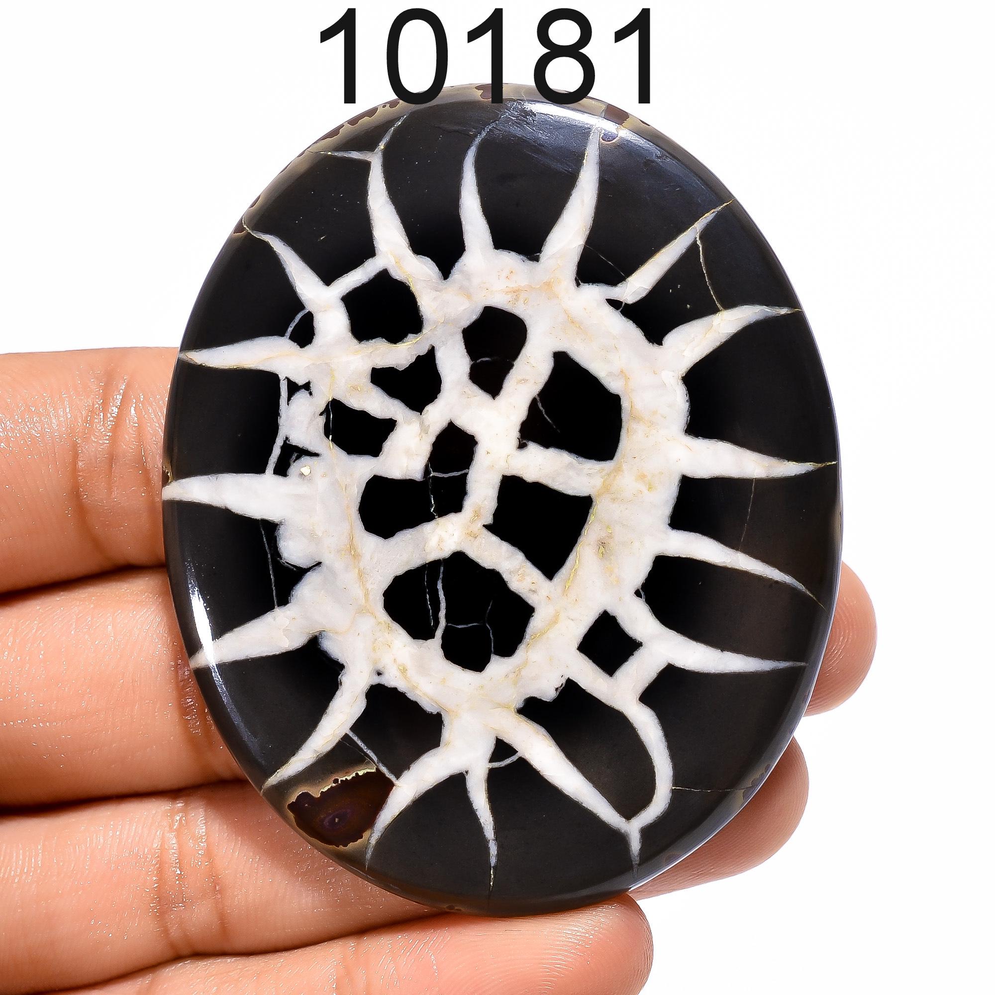 Natural Mud Crack Fossil Cabochon, Black and White Mixed Stone for Jewelry Making