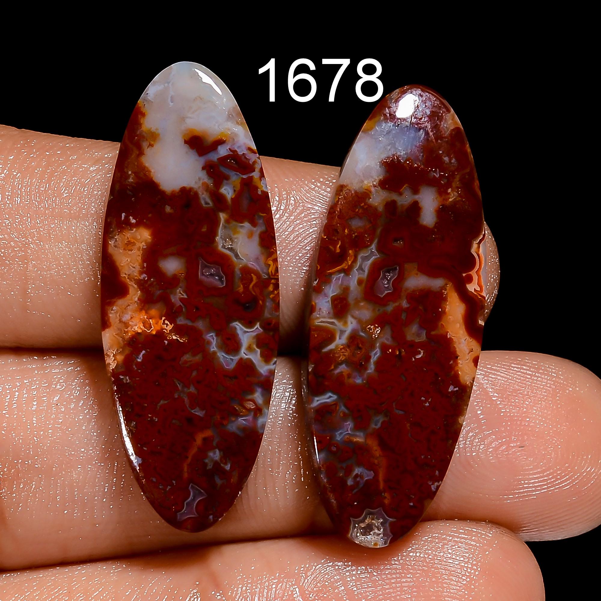 Natural Crazy Lace Agate Pair, AAA Gemstone Cabochons - image 3