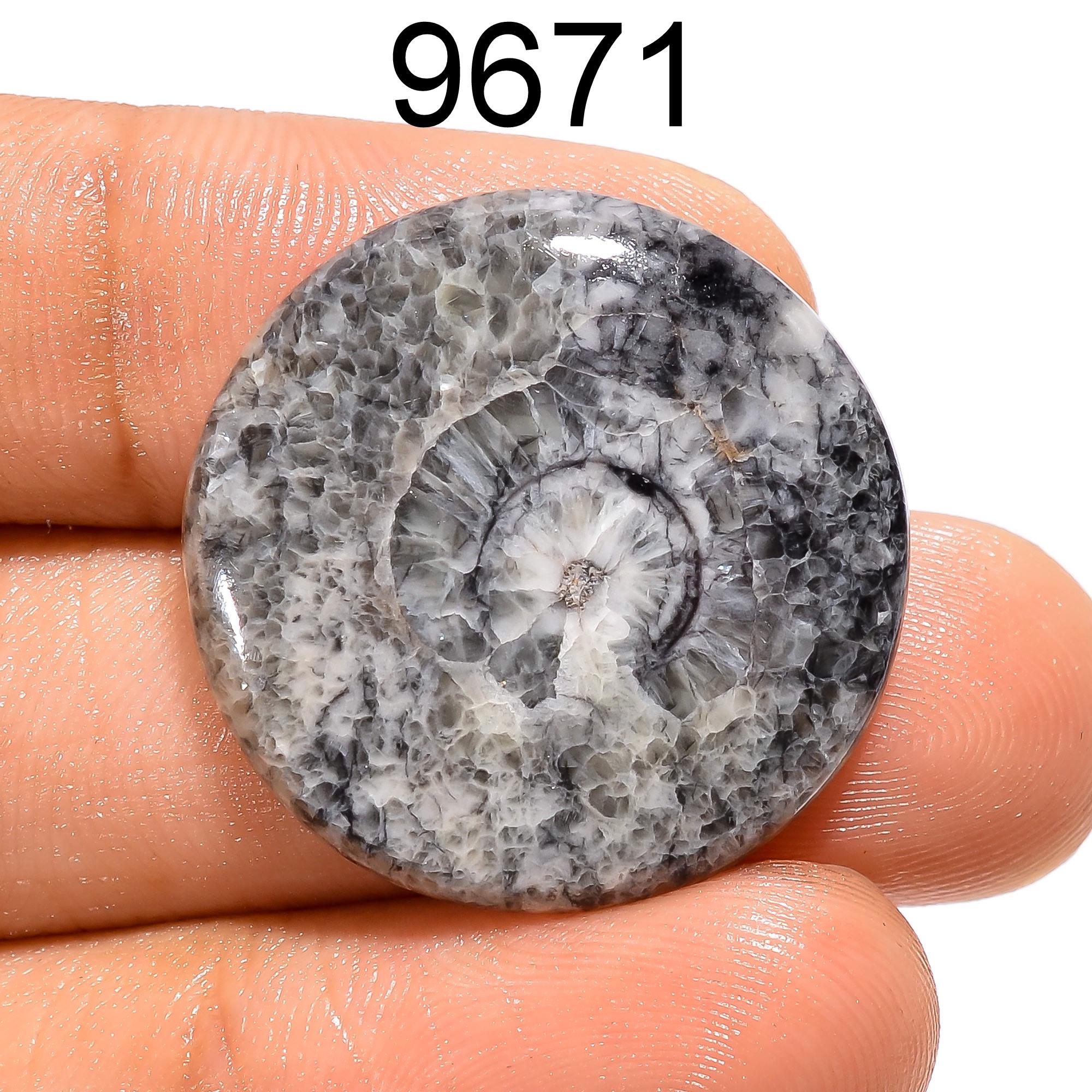 Horn Black Coral Gemstone, Loose Black Coral Cabochon, AAA Quality Natural Horn Black Coral Gemstone For Jewelry Making  - image 3