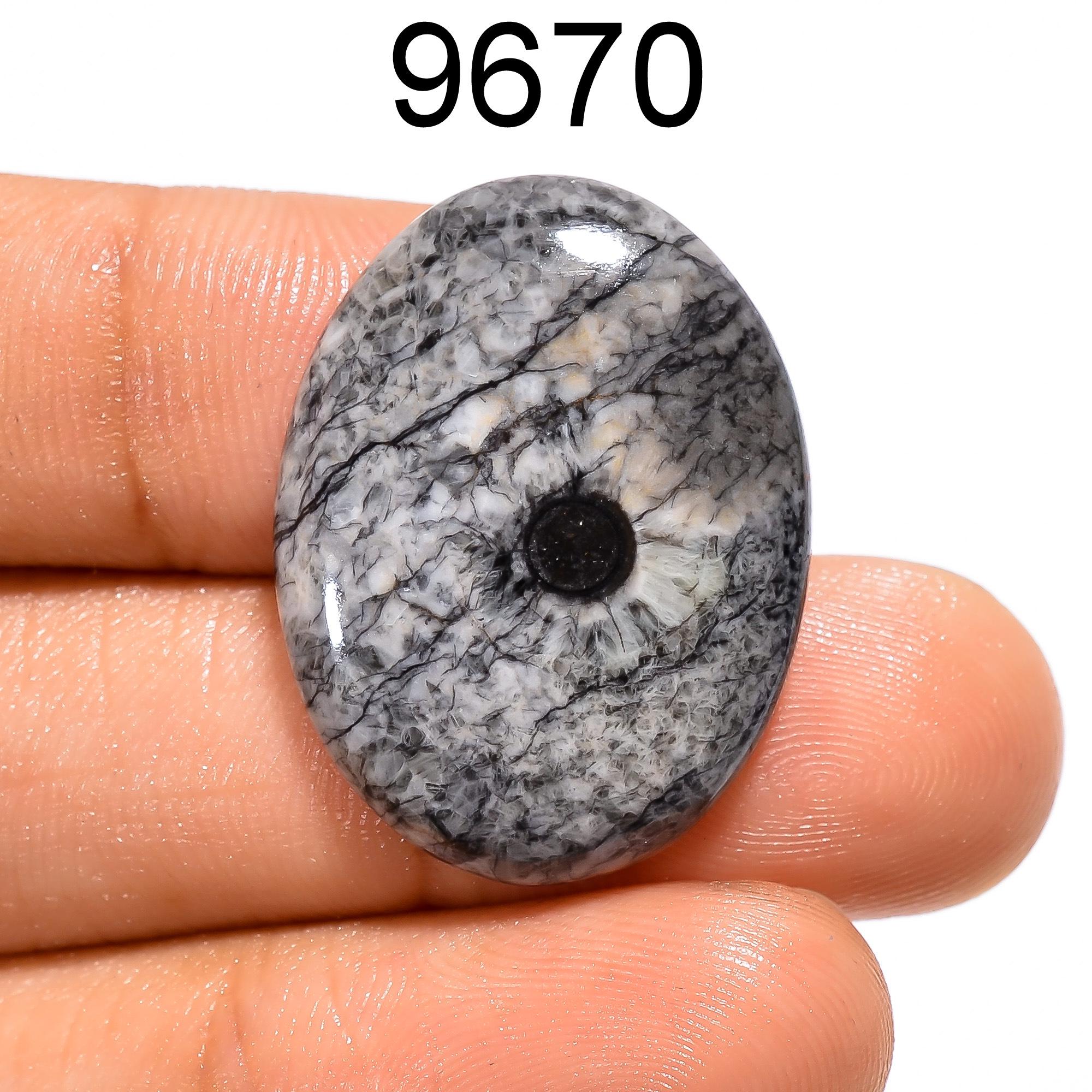 Horn Black Coral Gemstone, Loose Black Coral Cabochon, AAA Quality Natural Horn Black Coral Gemstone For Jewelry Making  - image 2