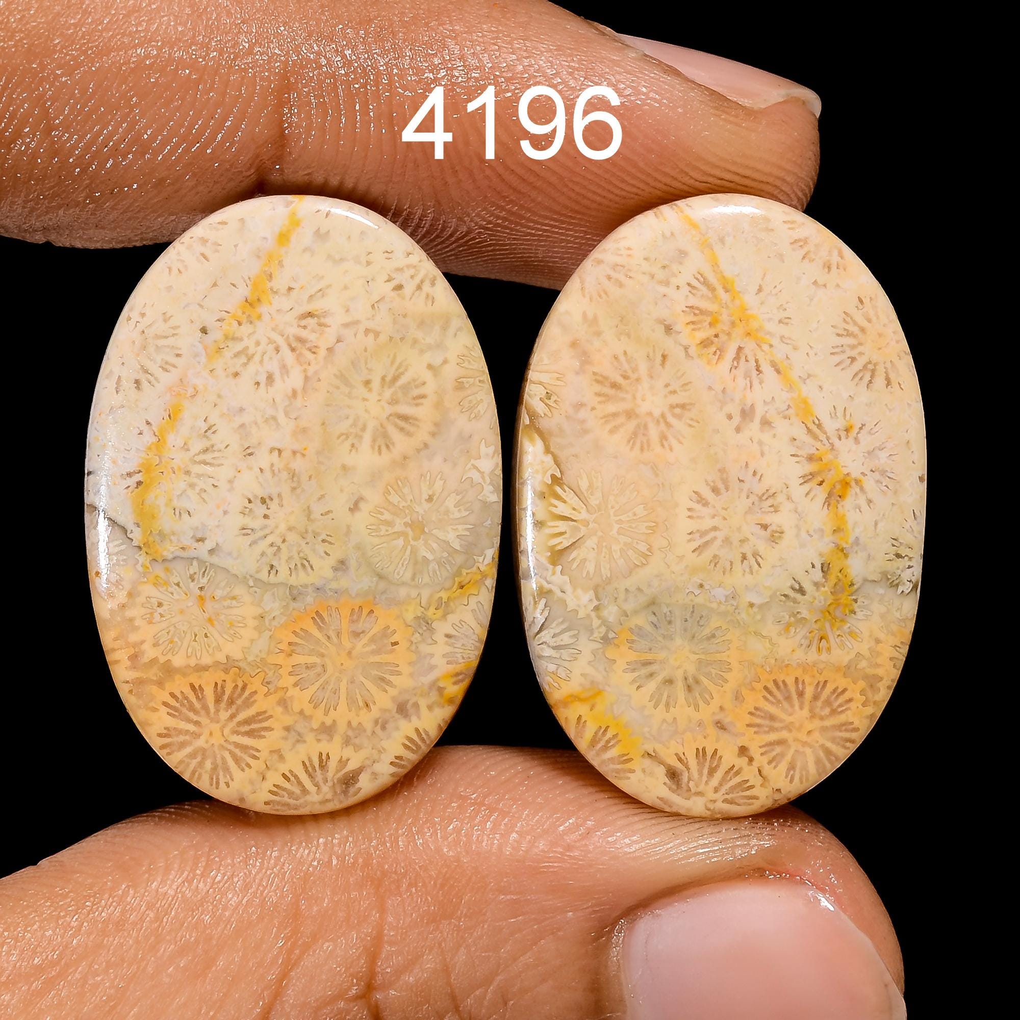 Fossil Coral Gemstone Cabochon Pair, AAA Quality Earring Jewelry