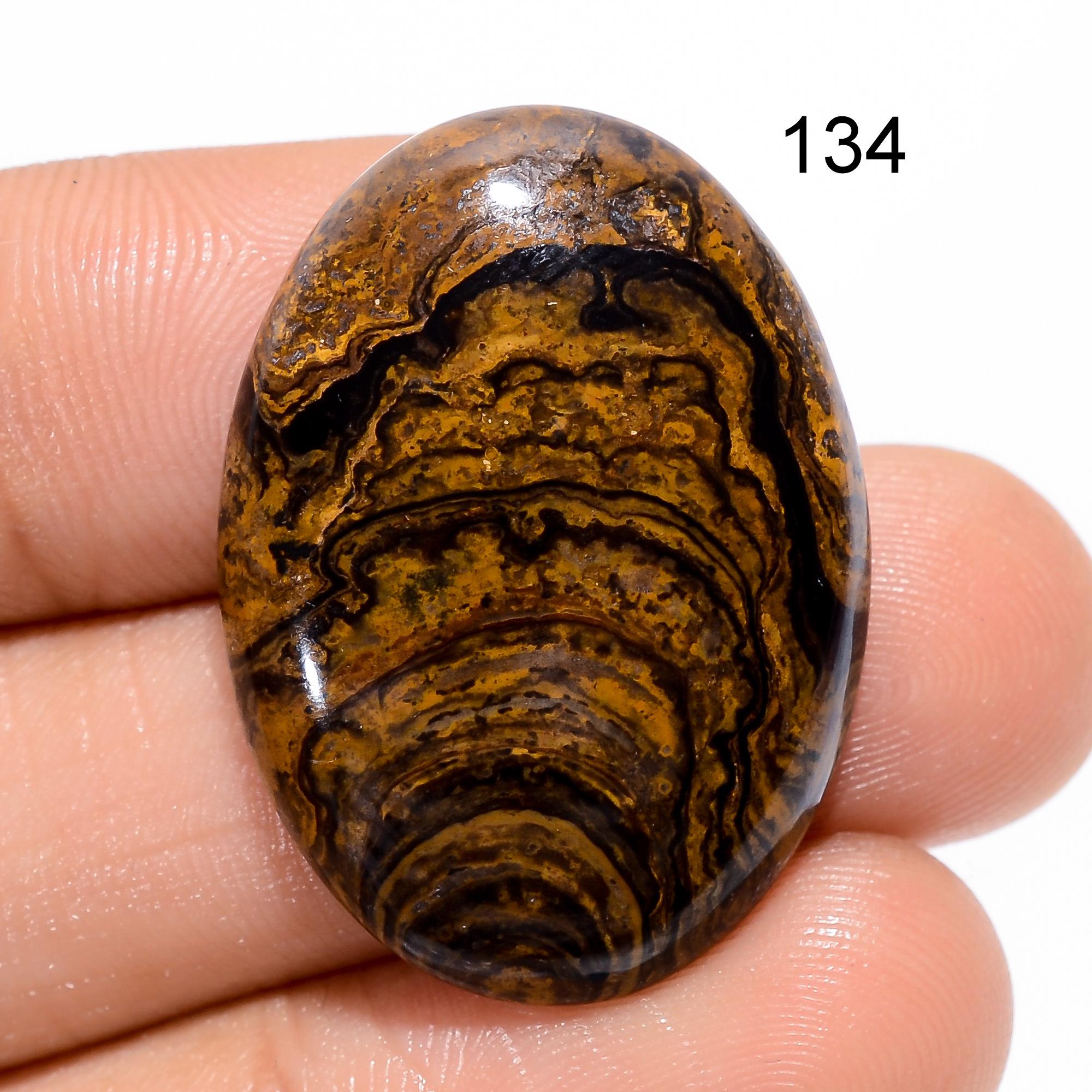 AAA Stromatolite Gemstone Cabochon, Natural Mix Shape, Jewelry Making Loose Stone - image 3