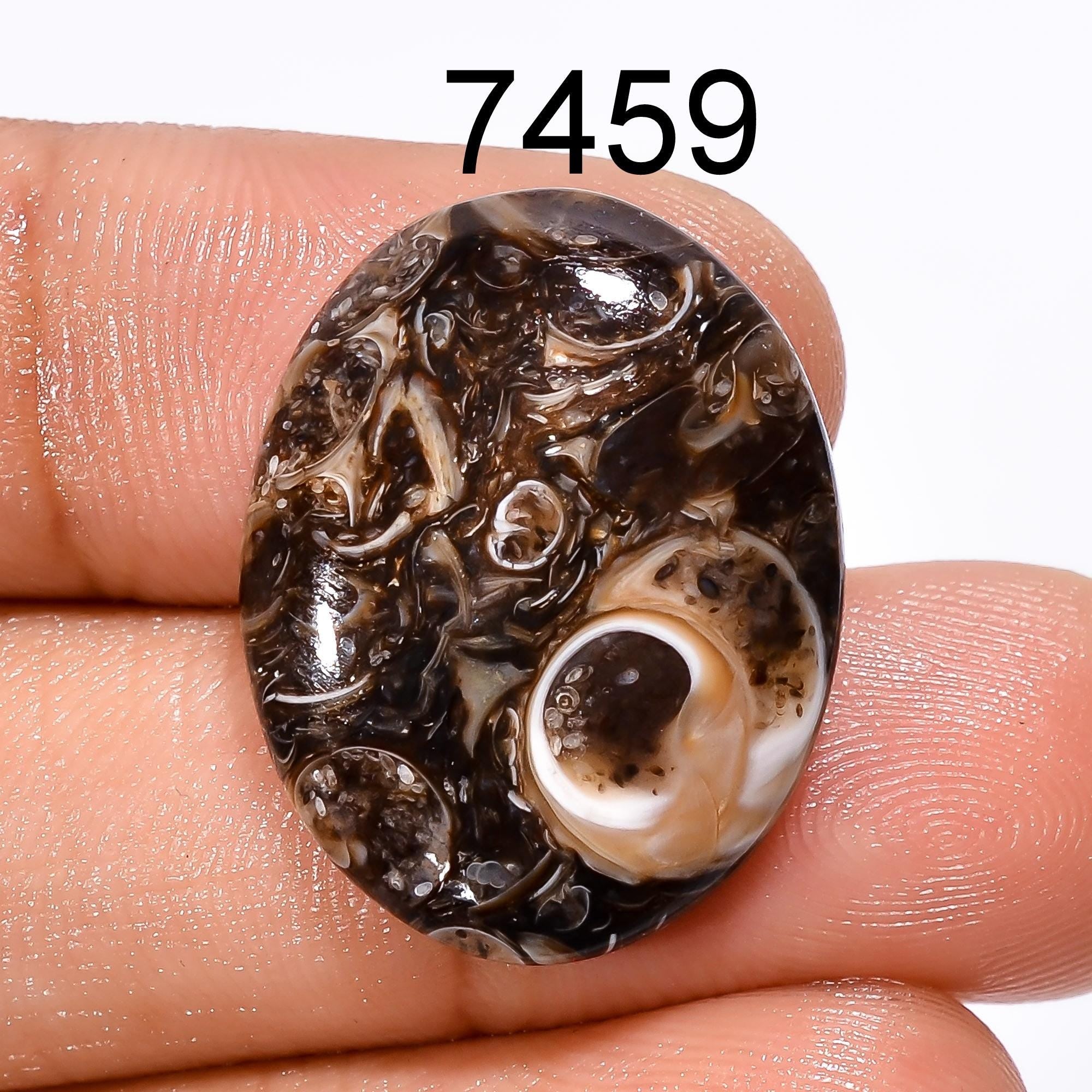 AAA Turritella Agate Cabochon: Natural Healing Gemstone - image 8