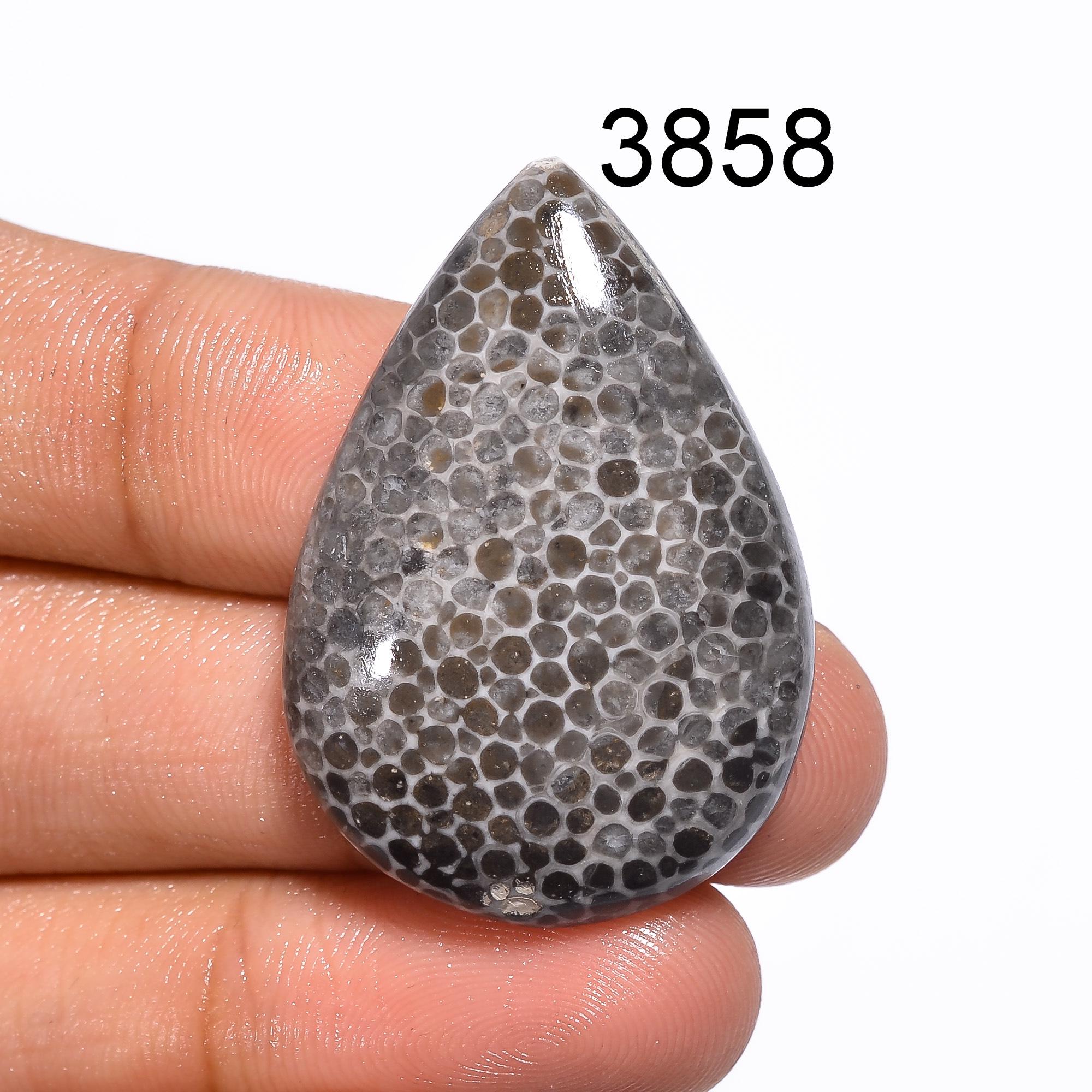 Black Fossil Coral Cabochon: Natural Gemstone for Jewelry Making Healing Crystal - image 5
