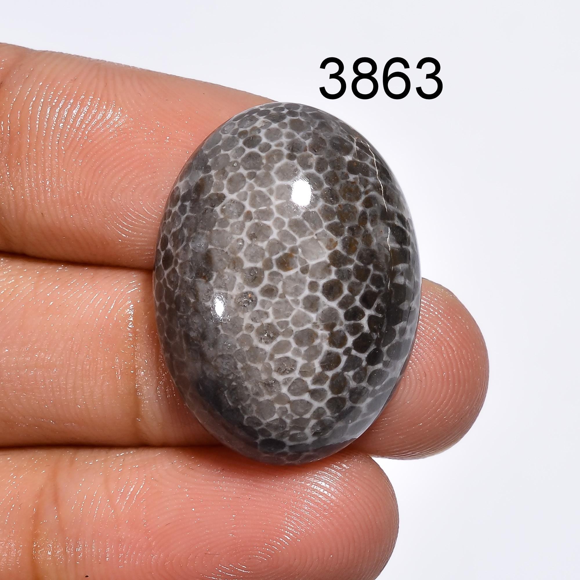 Black Fossil Coral Cabochon: Natural Gemstone for Jewelry Making Healing Crystal