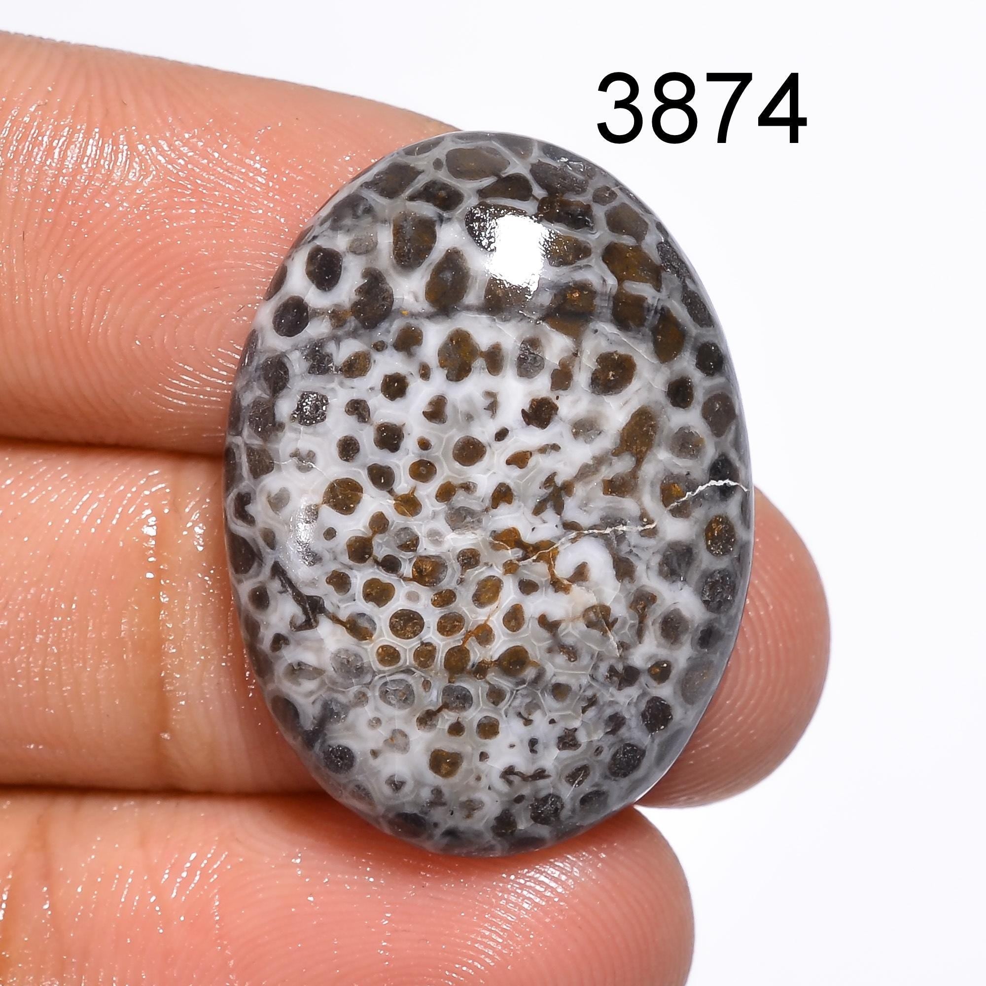 Black Fossil Coral Cabochon: Natural Gemstone for Jewelry Making Healing Crystal - image 6
