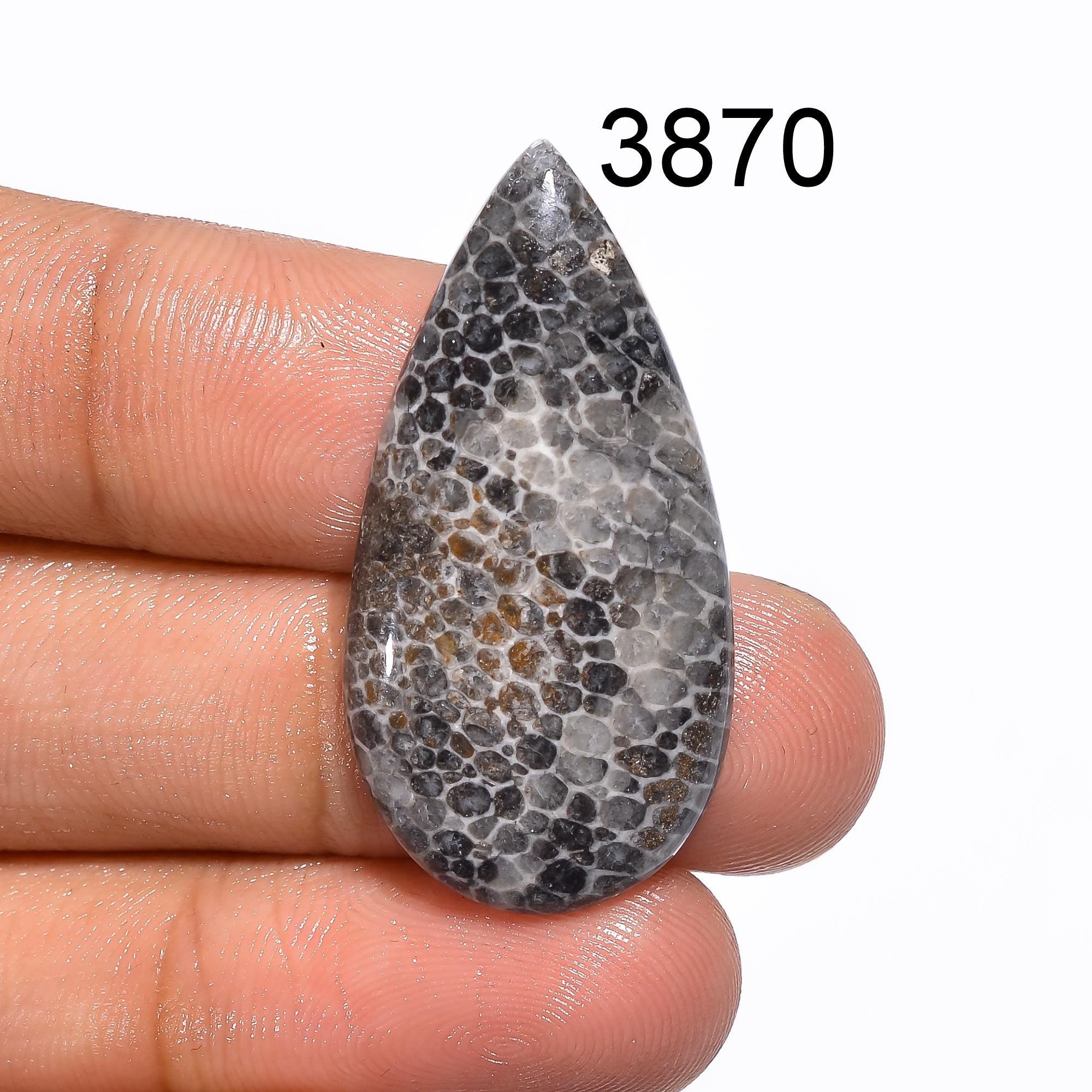 Black Fossil Coral Cabochon: Natural Gemstone for Jewelry Making Healing Crystal - image 5