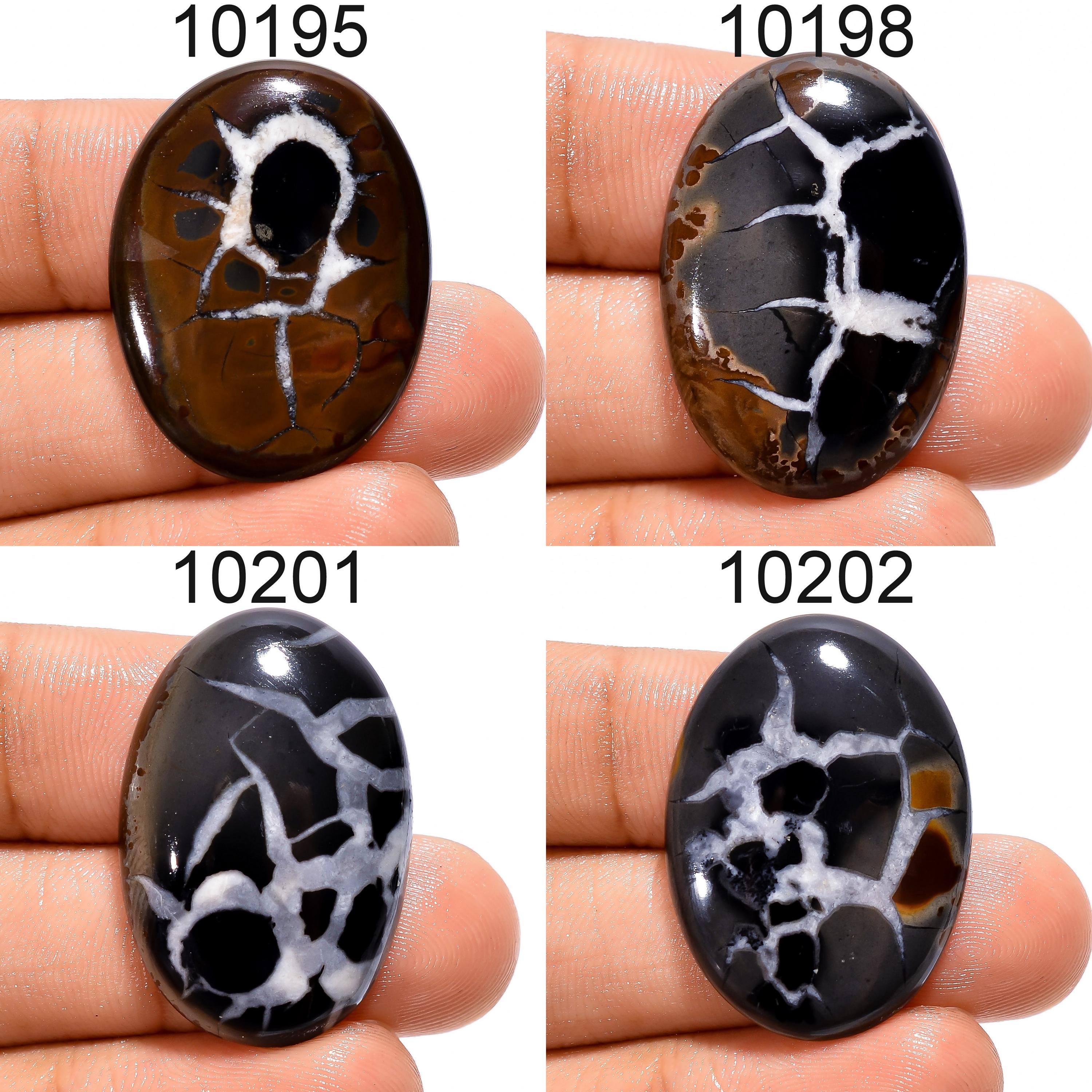Natural Mud Crack Fossil Cabochon, Black and White Mixed Stone for Jewelry Making - image 4