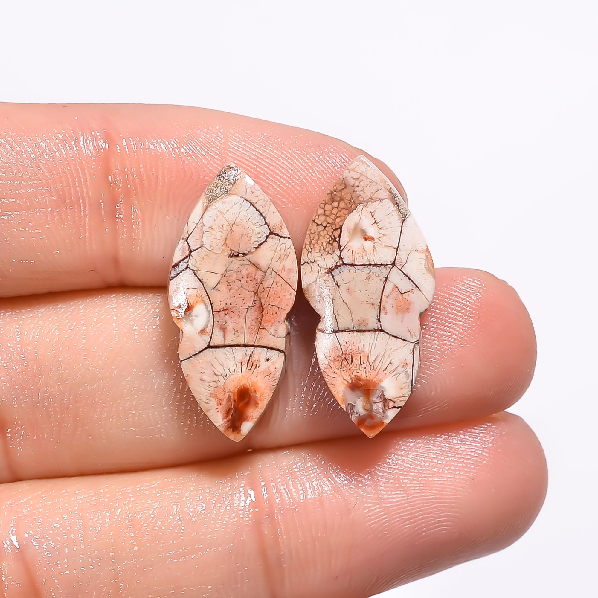 Bird's Eye Jasper Gemstone Cabochon Pair: Matched Earring Jewelry Supply Healing Crystal - image 4