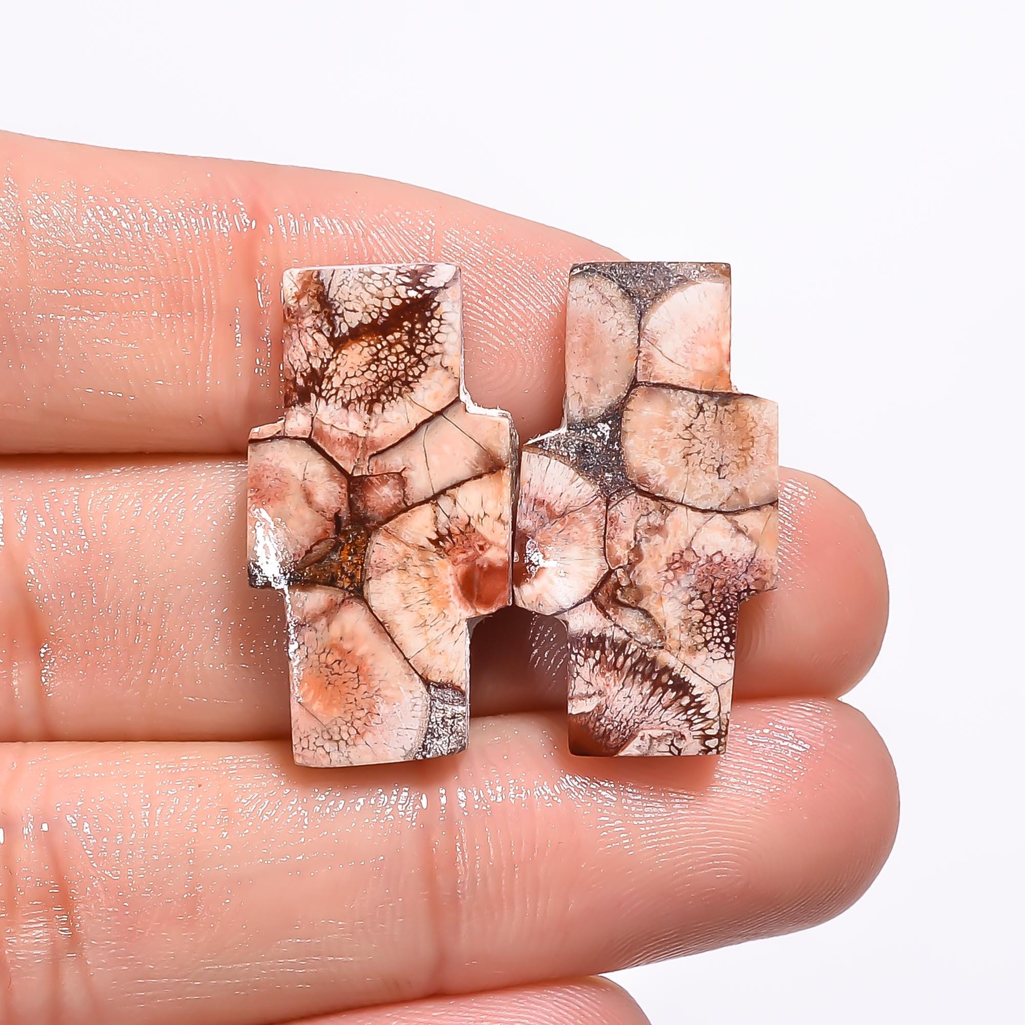 Bird's Eye Jasper Gemstone Cabochon Pair: Matched Earring Jewelry Supply Healing Crystal - image 3