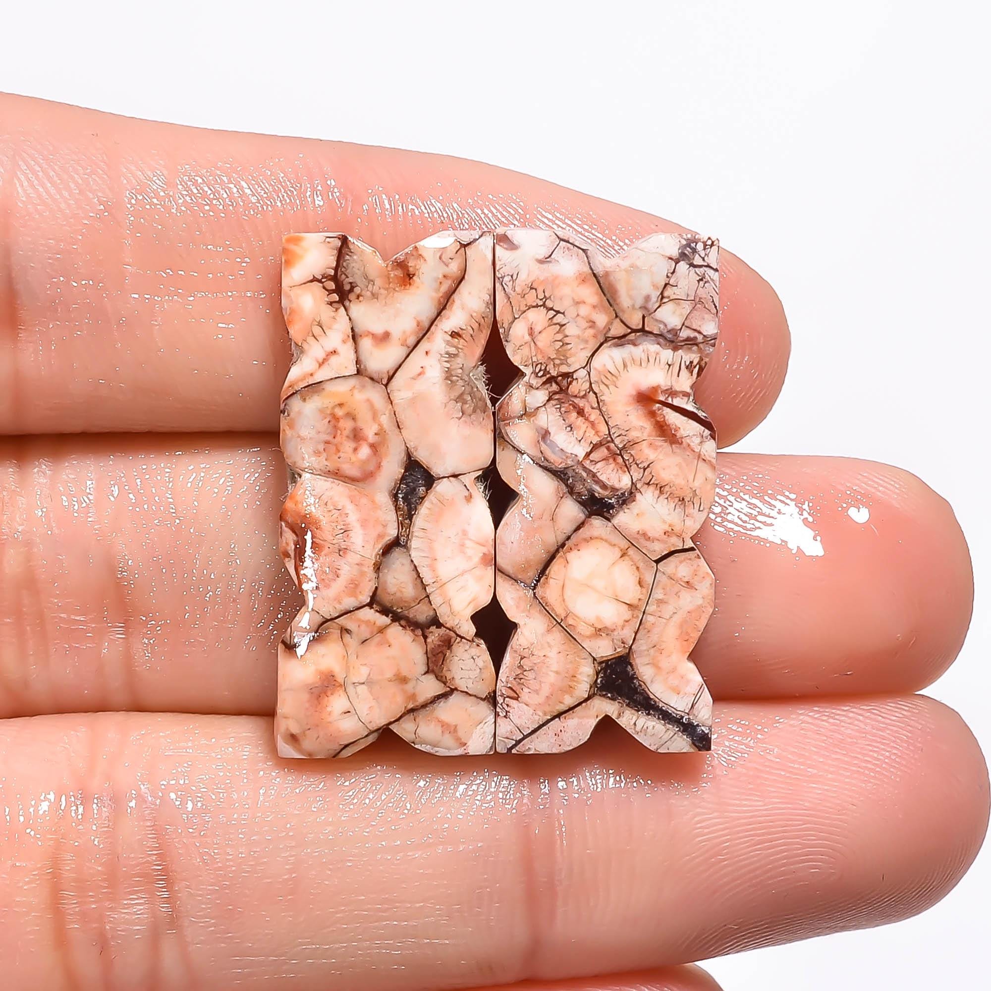 Bird's Eye Jasper Gemstone Cabochon Pair: Matched Earring Jewelry Supply Healing Crystal - image 2