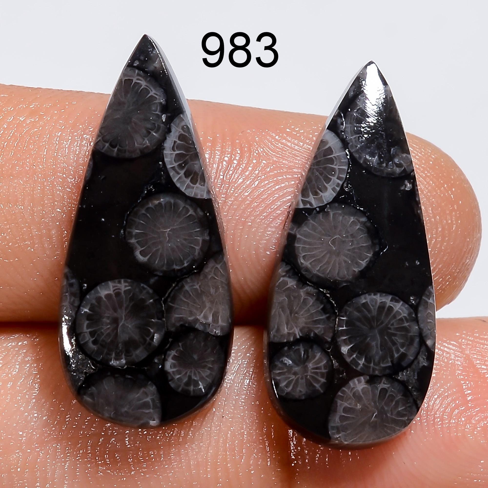 Black Fossil Coral Gemstone Pair, Mix Shape, Earring Jewelry Making Supply - image 4