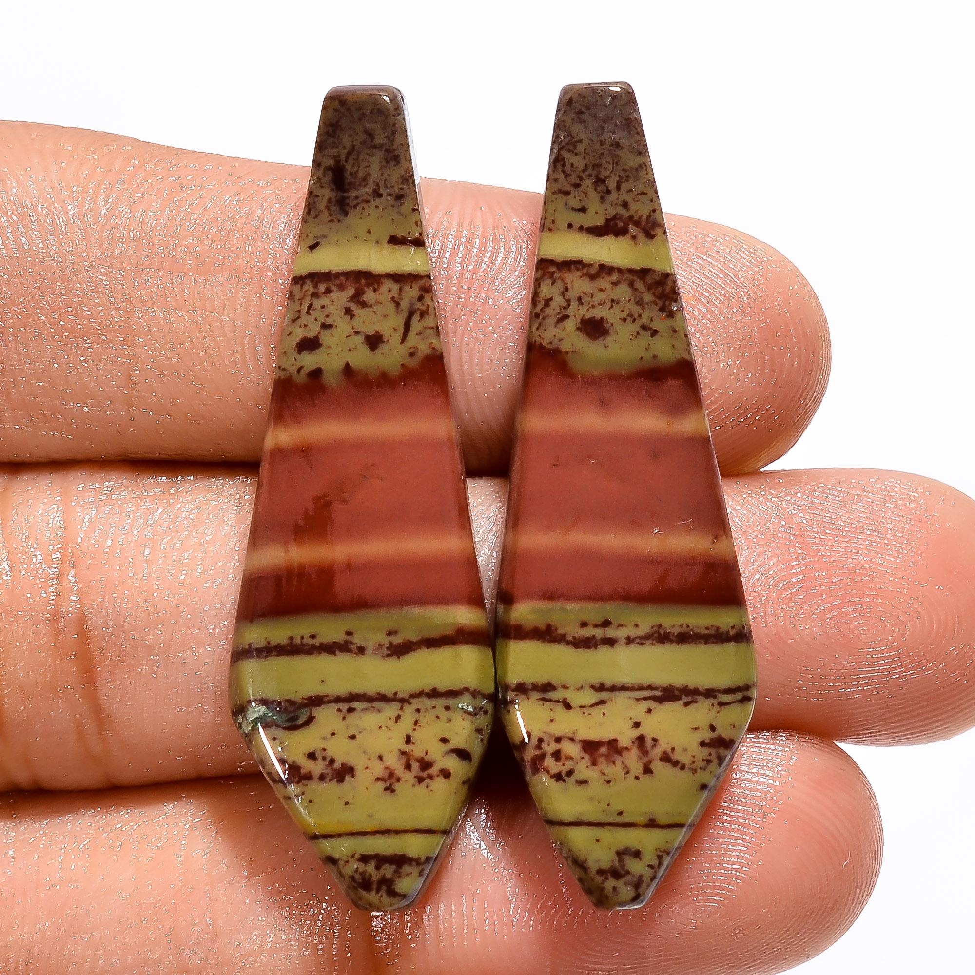 Picture Jasper Cabochon Pair, Fancy Gemstone for Earring Jewelry Making