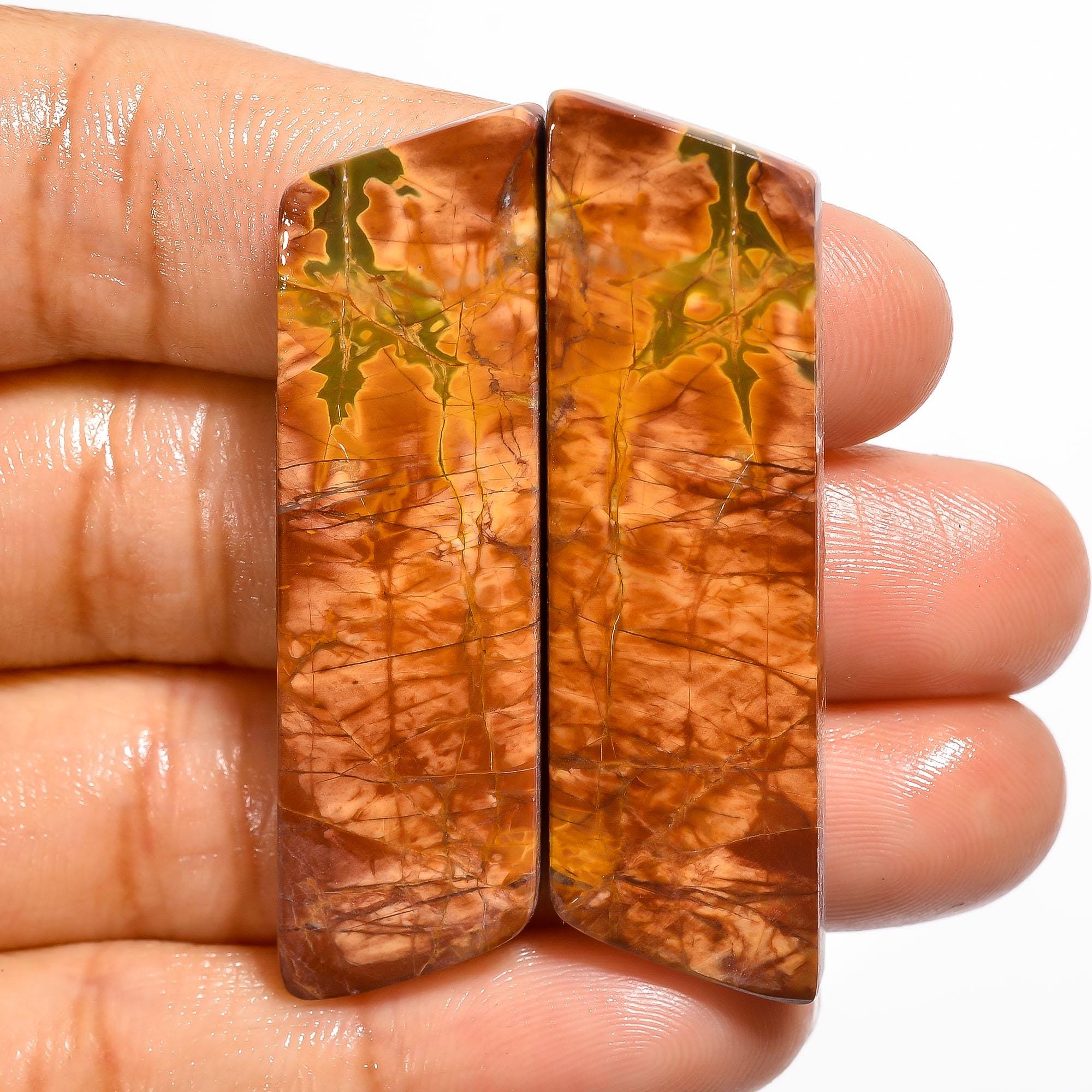 AAA Cherry Creek Jasper Cabochon Pair, Natural Gemstone for Earrings